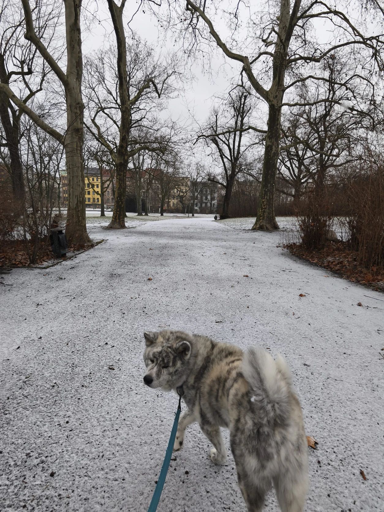 image-17