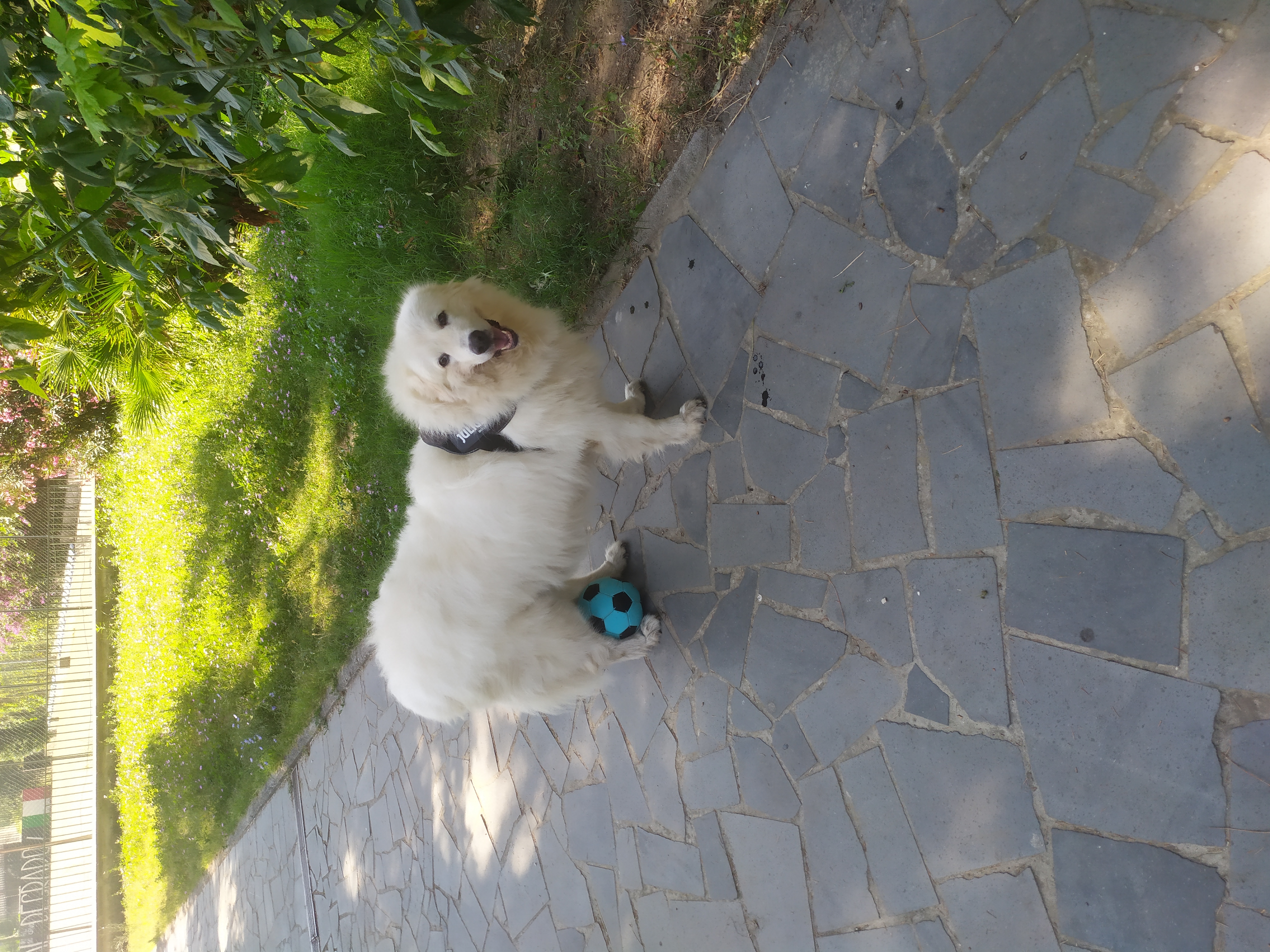 image-5