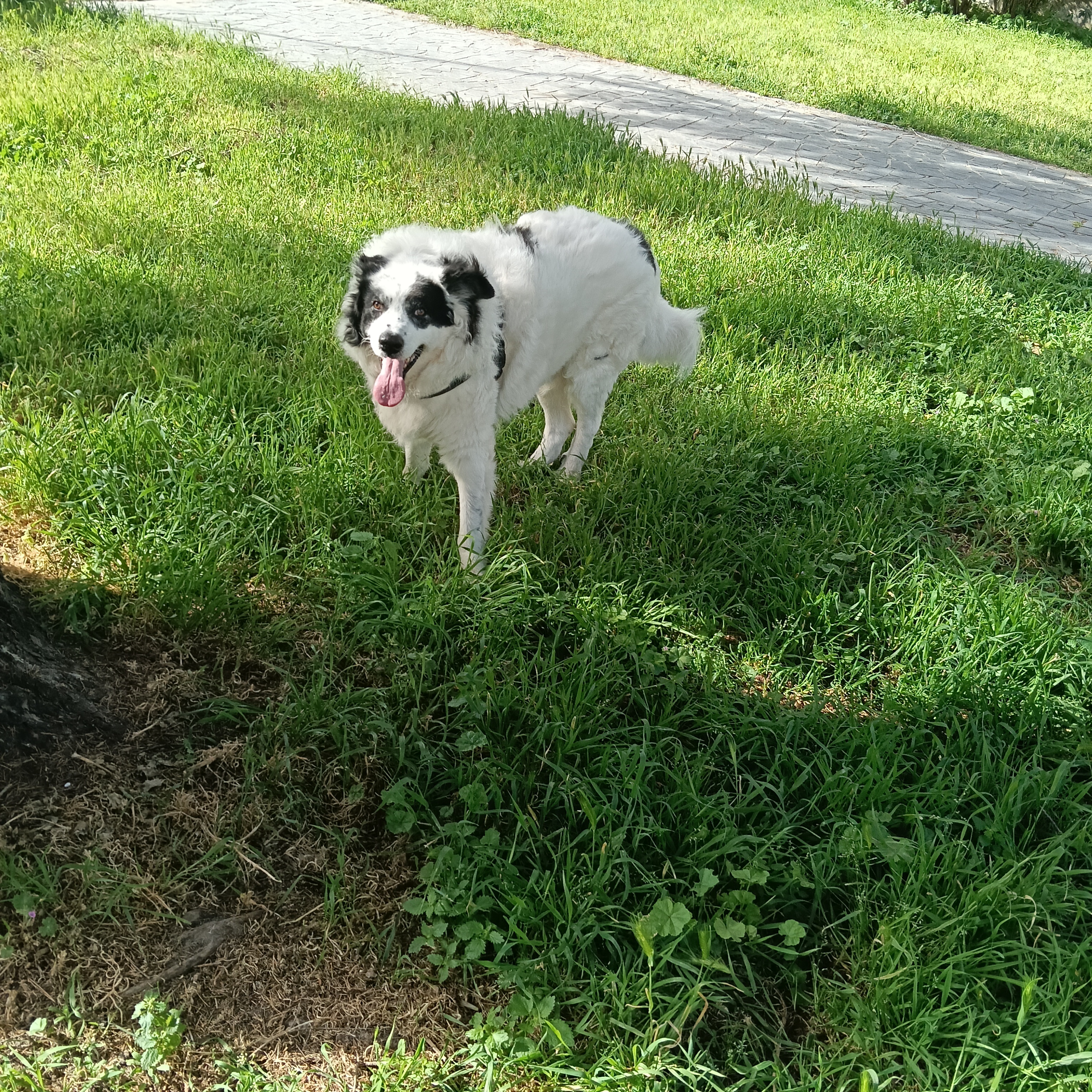 image-16
