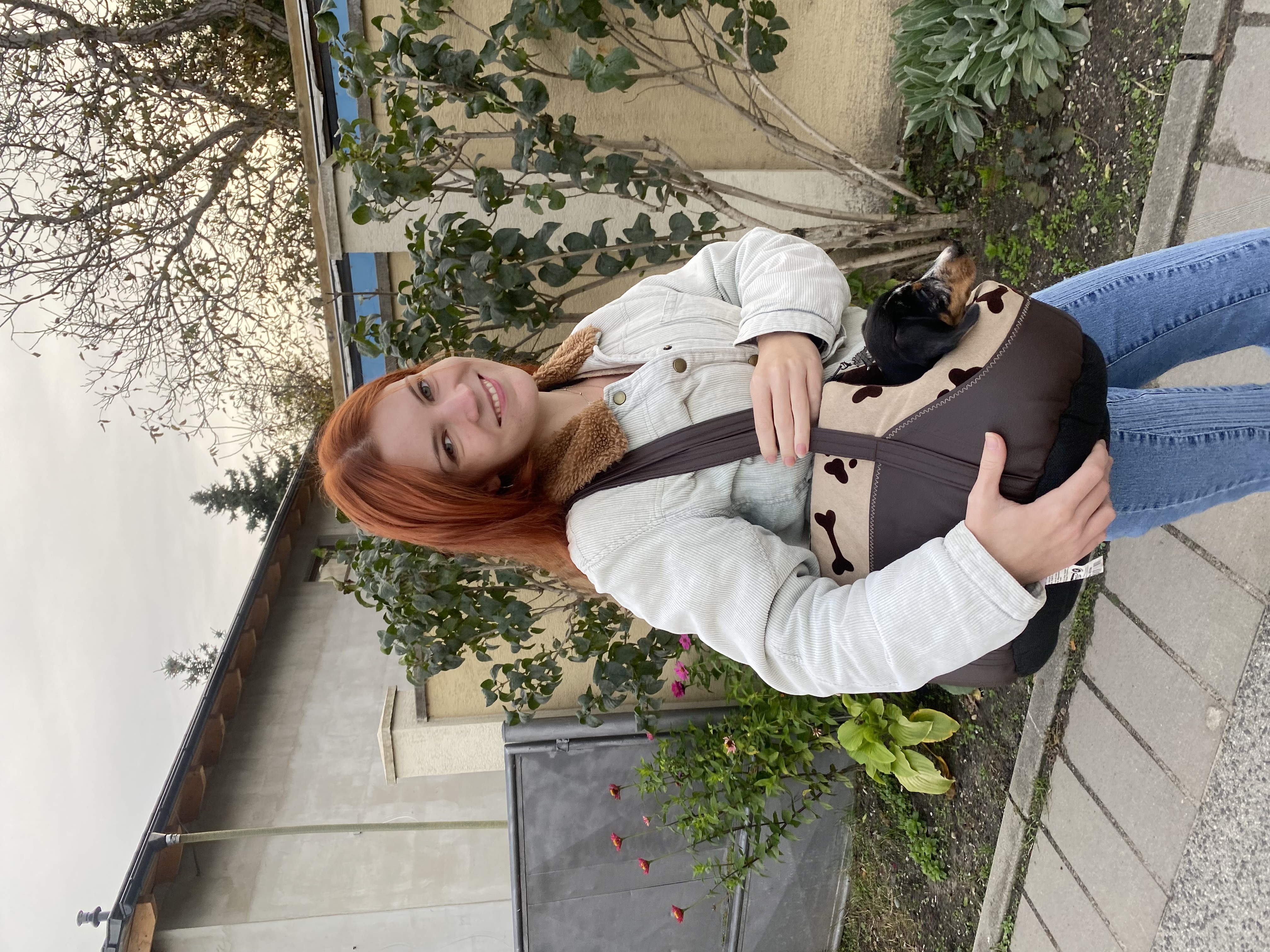 image-2