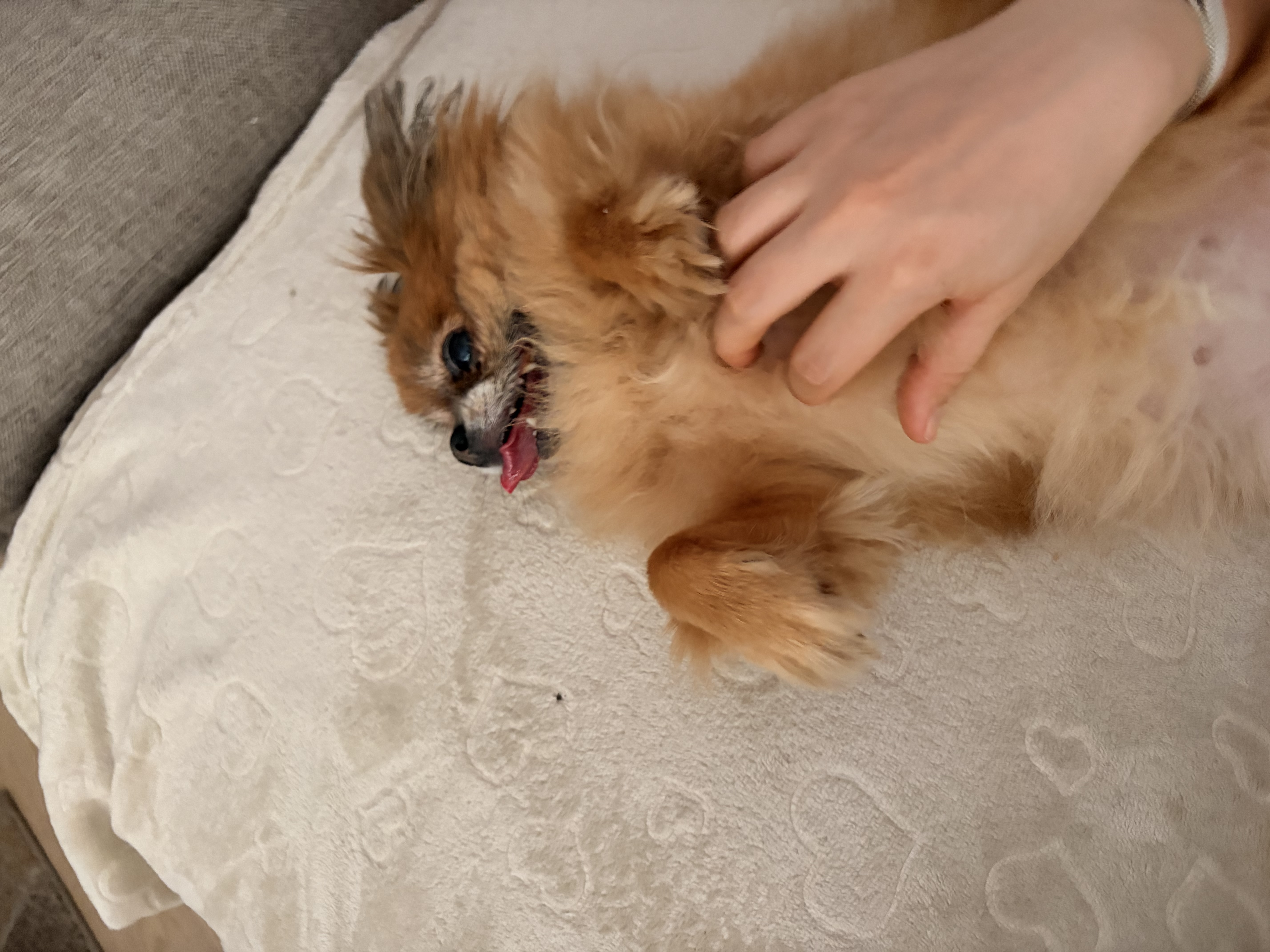 image-18