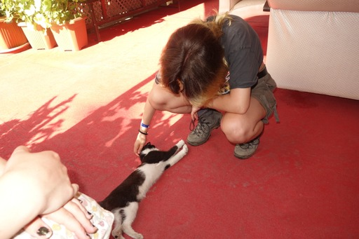 image-8
