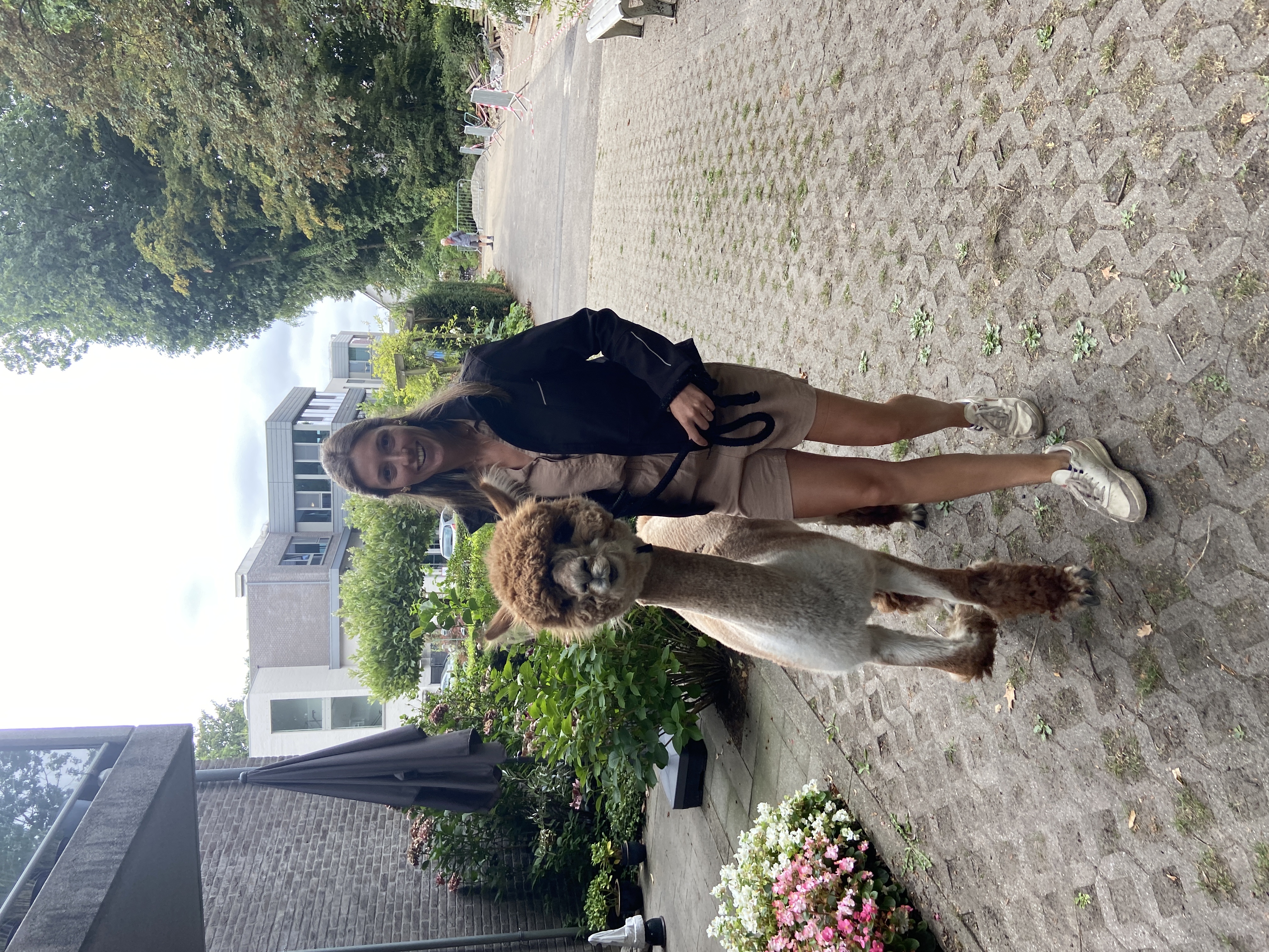 image-7