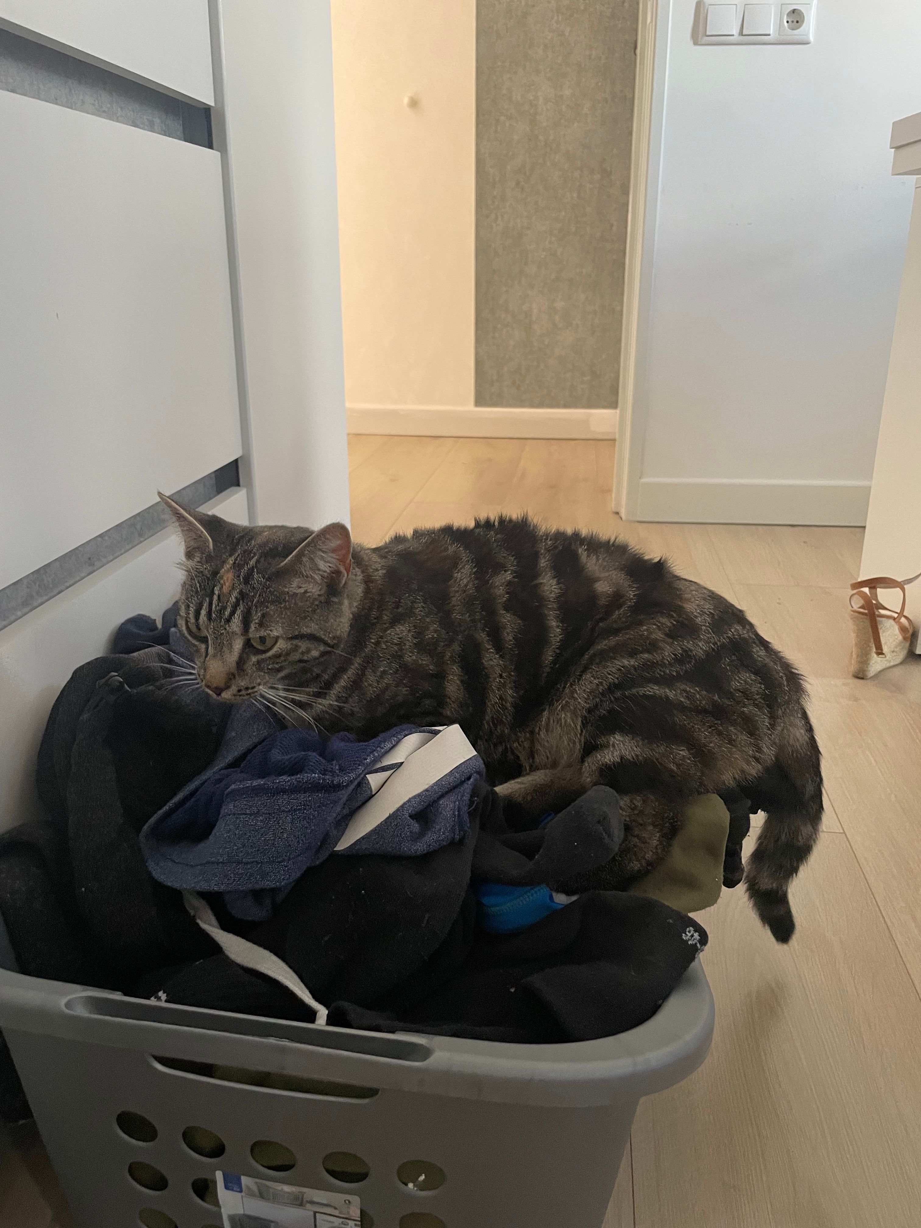 image-11