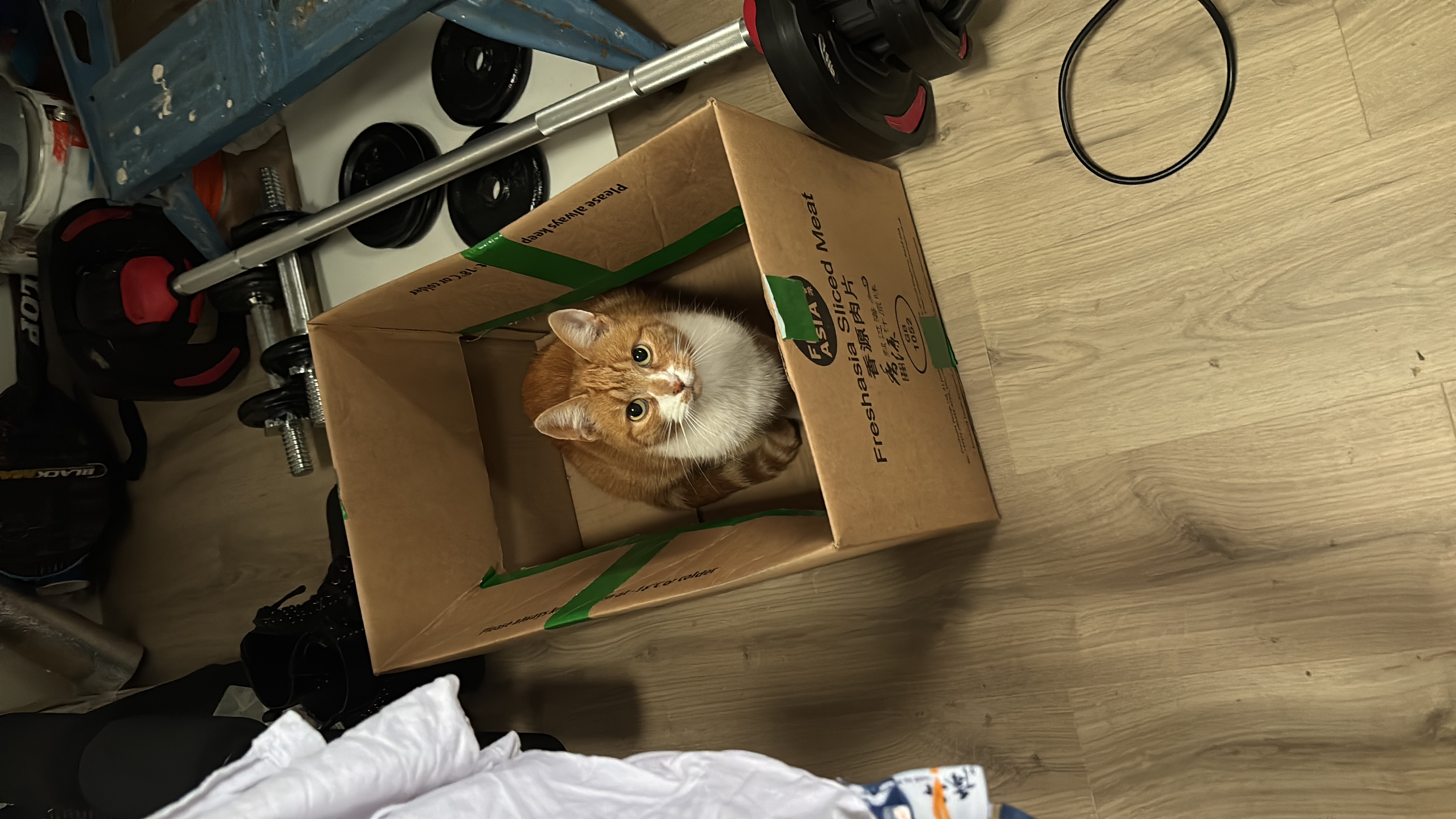 image-8