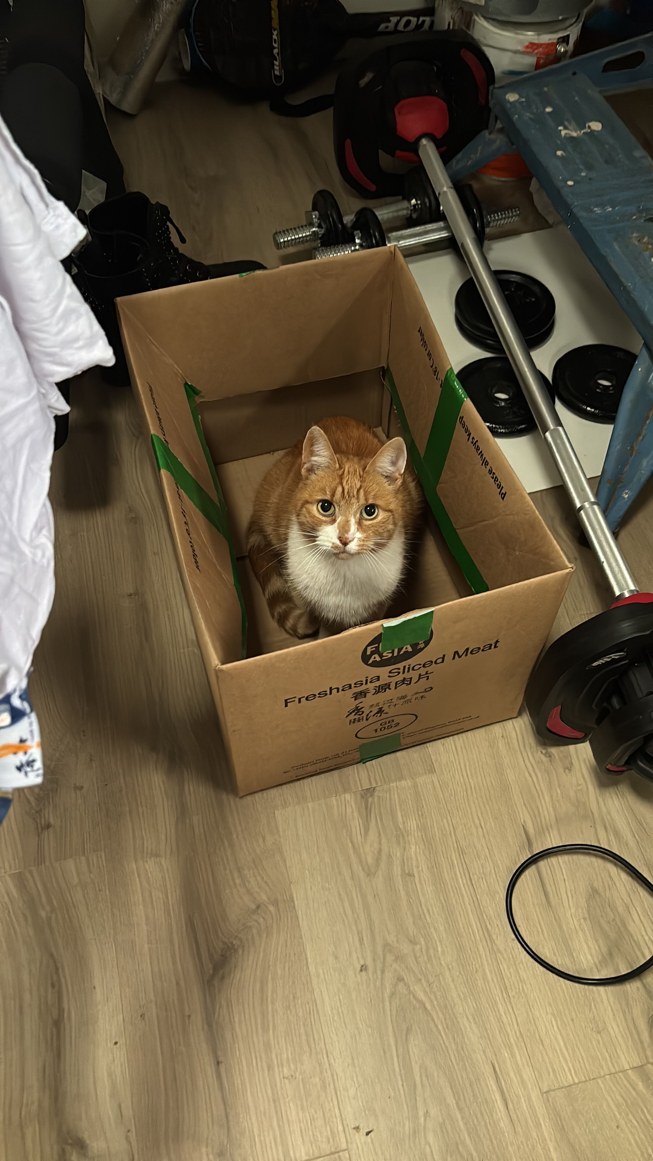 image-8