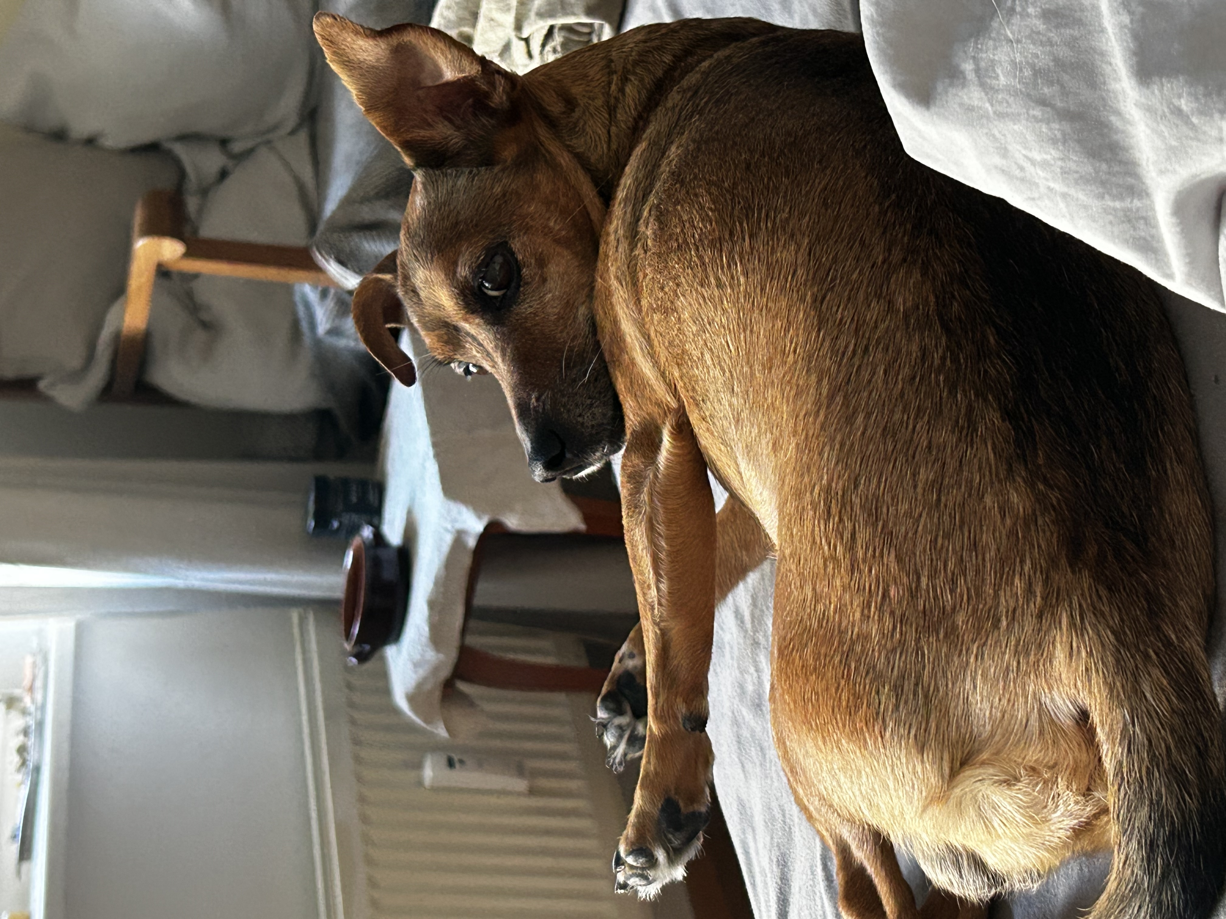 image-4