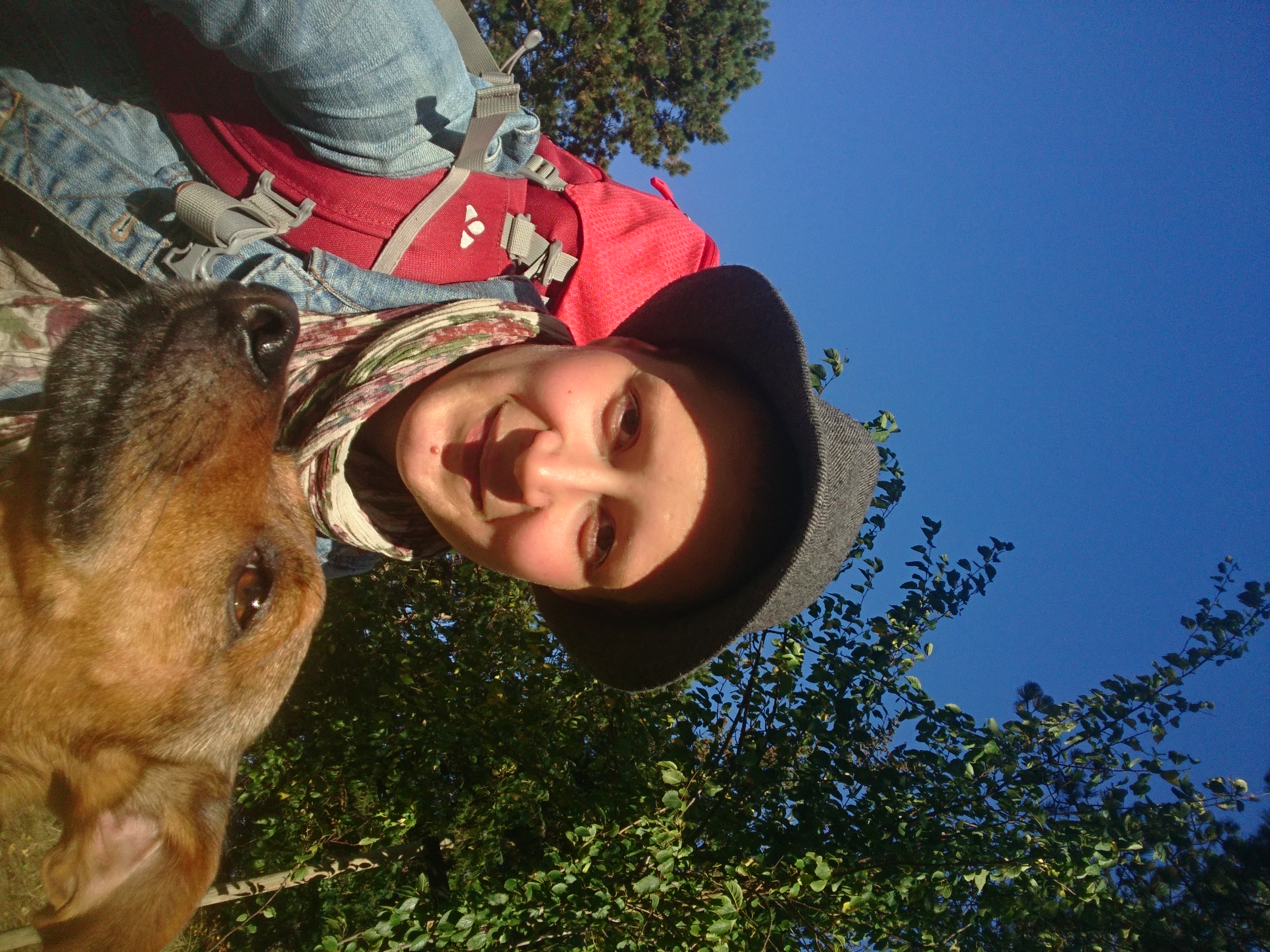 image-0
