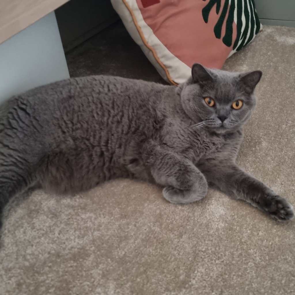 Luna