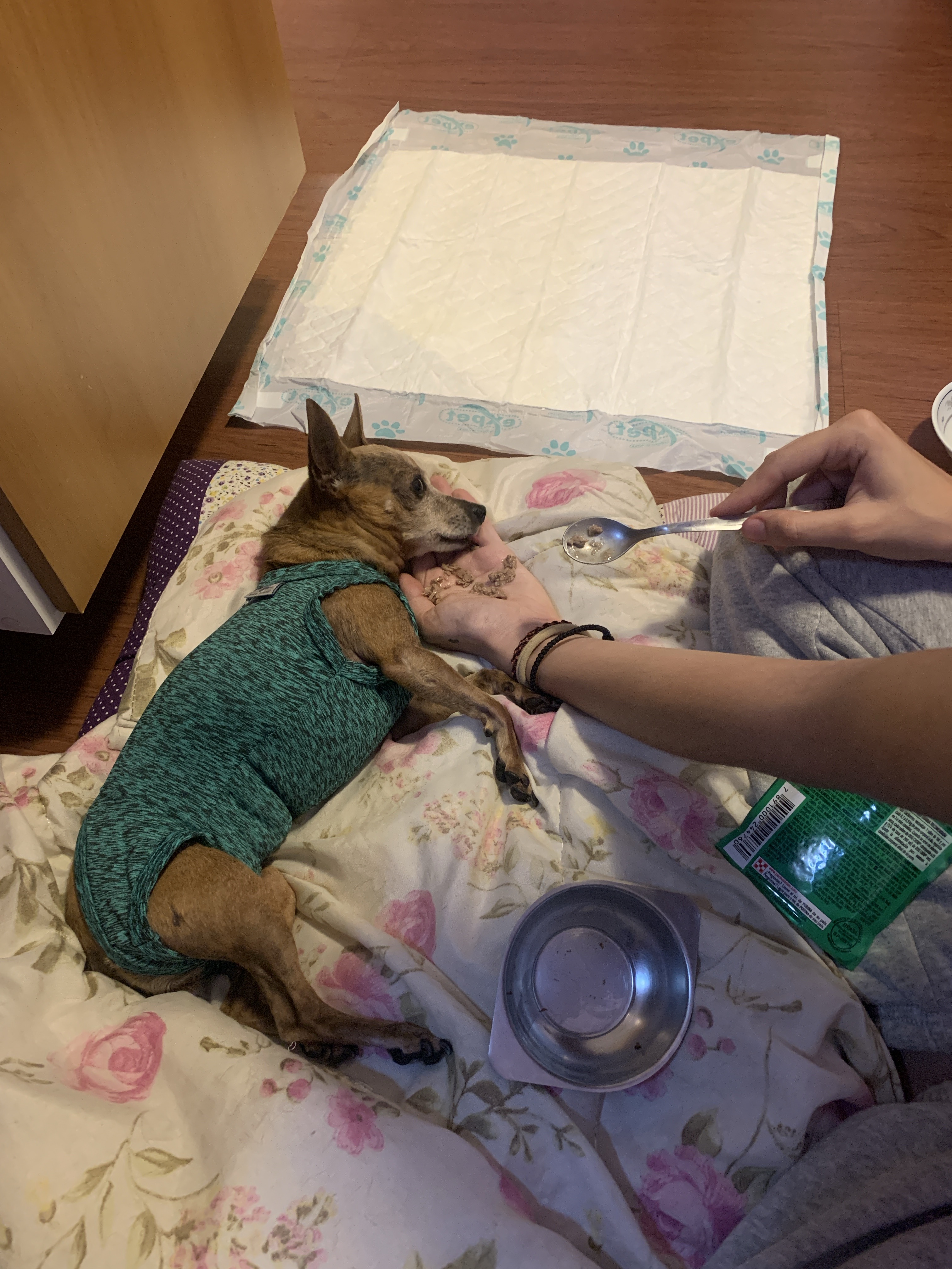 image-6