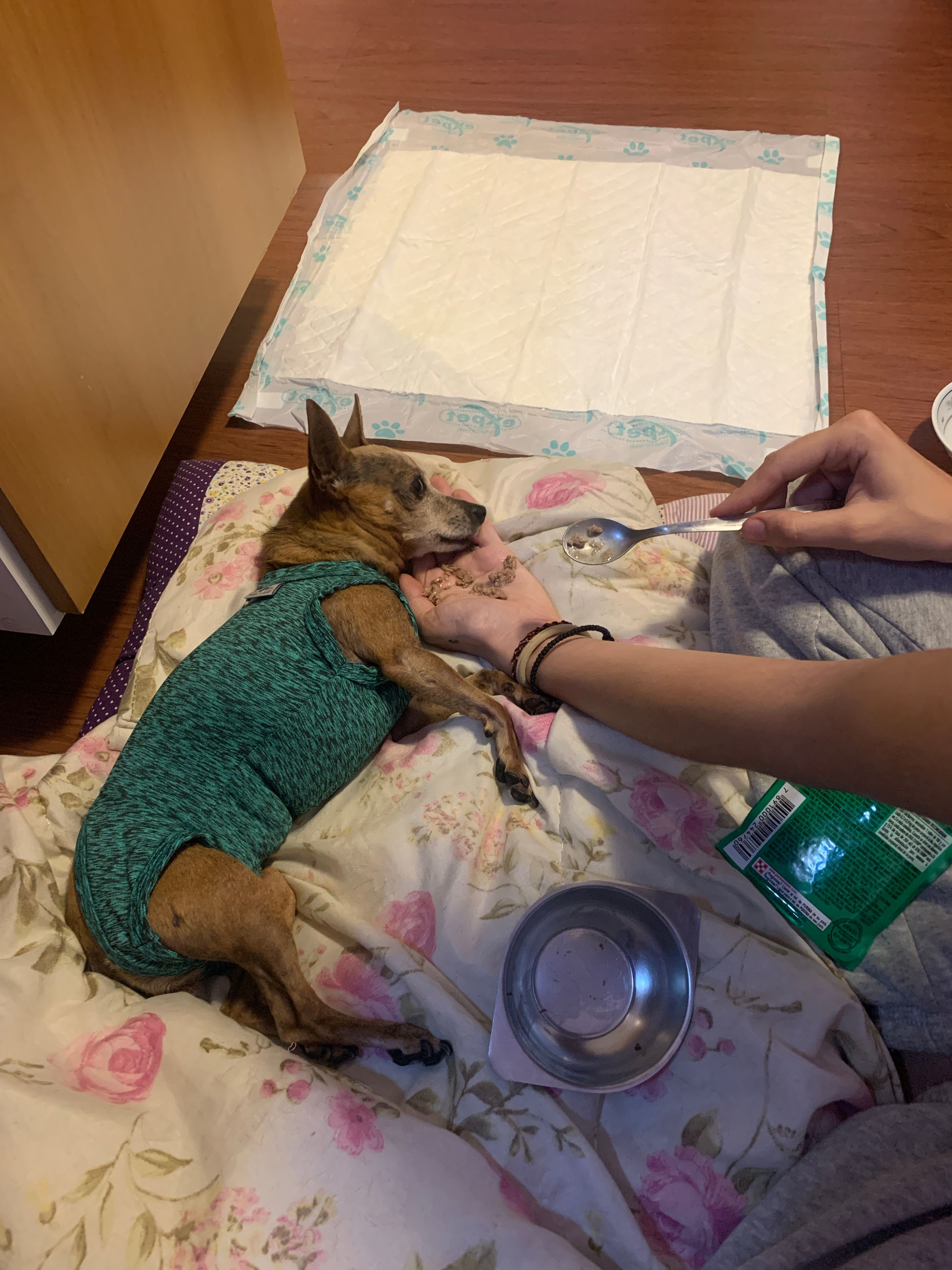 image-6