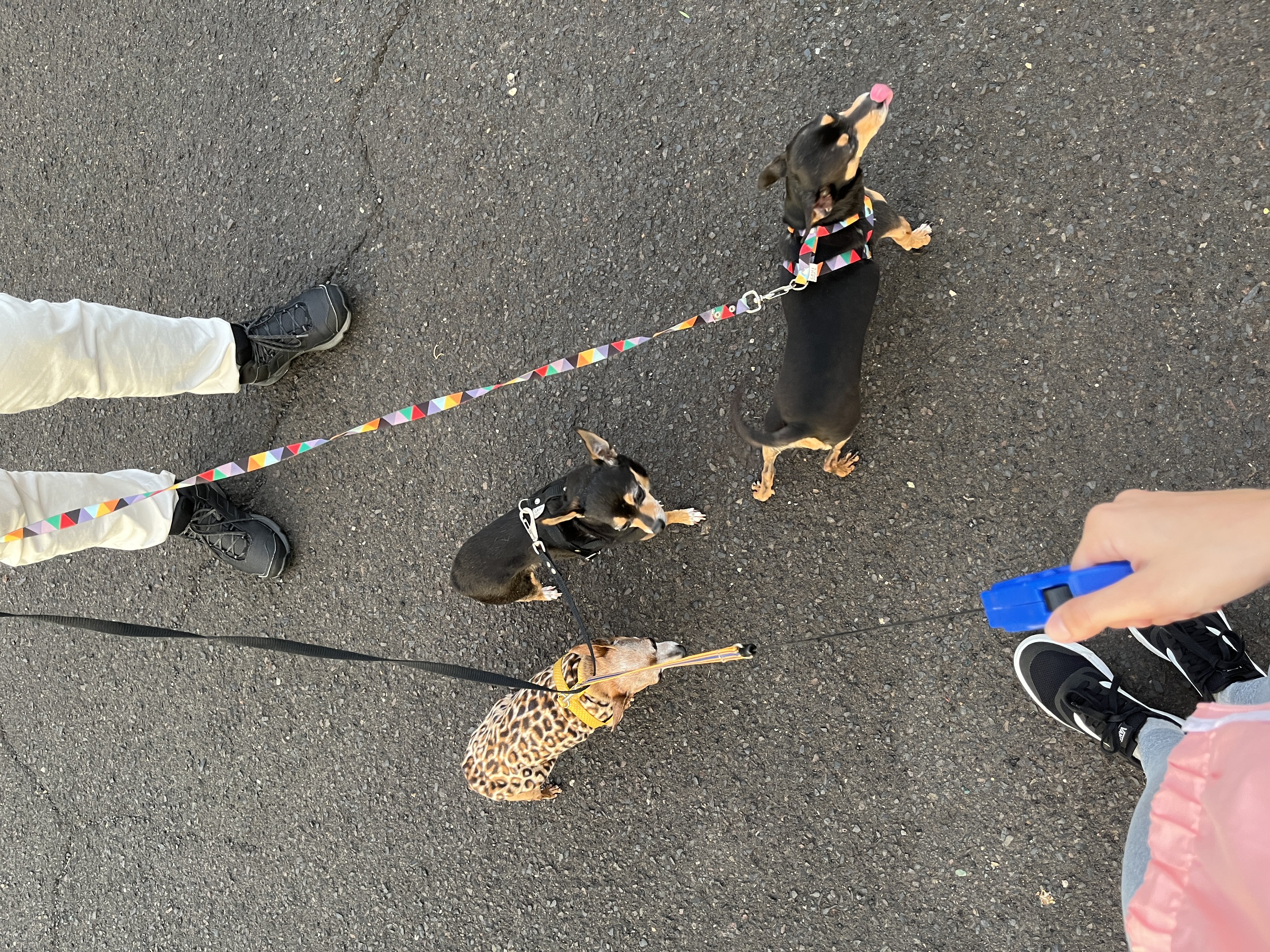 image-7