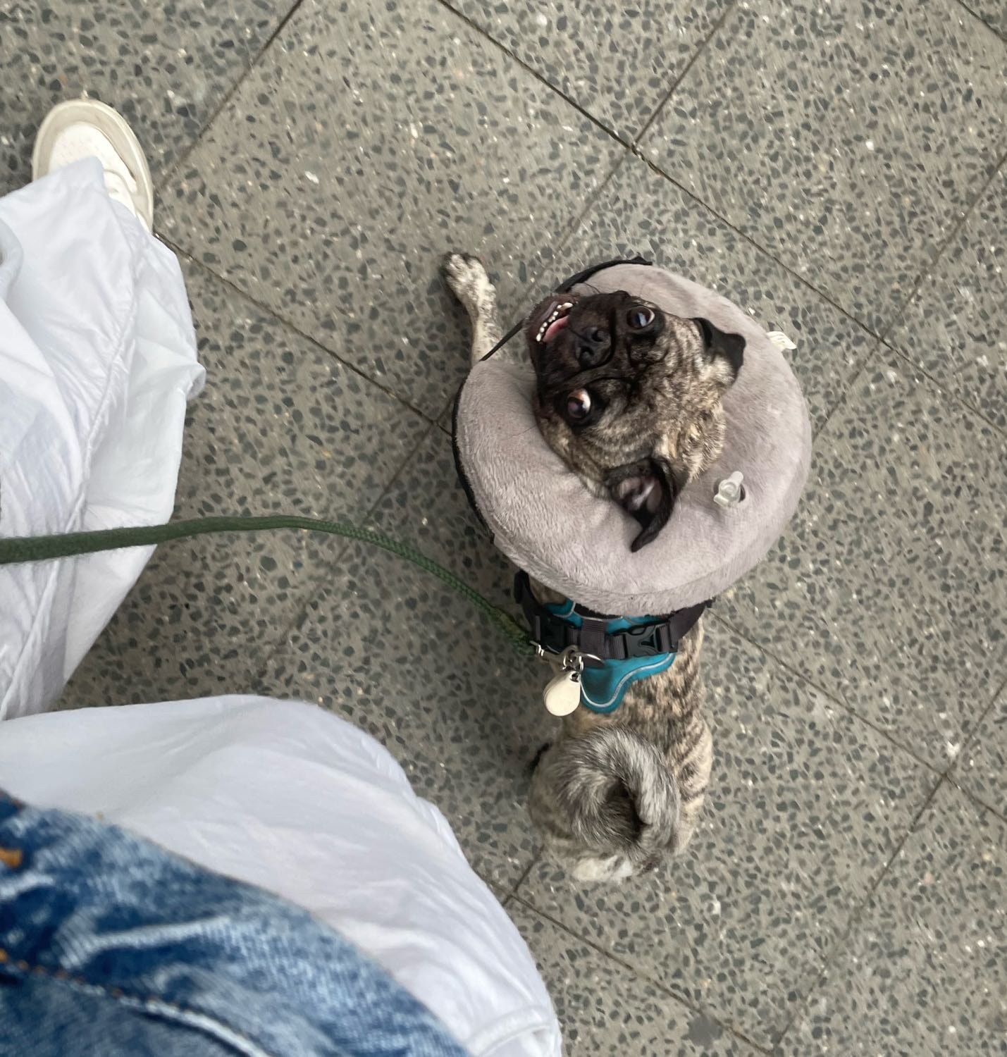 image-14