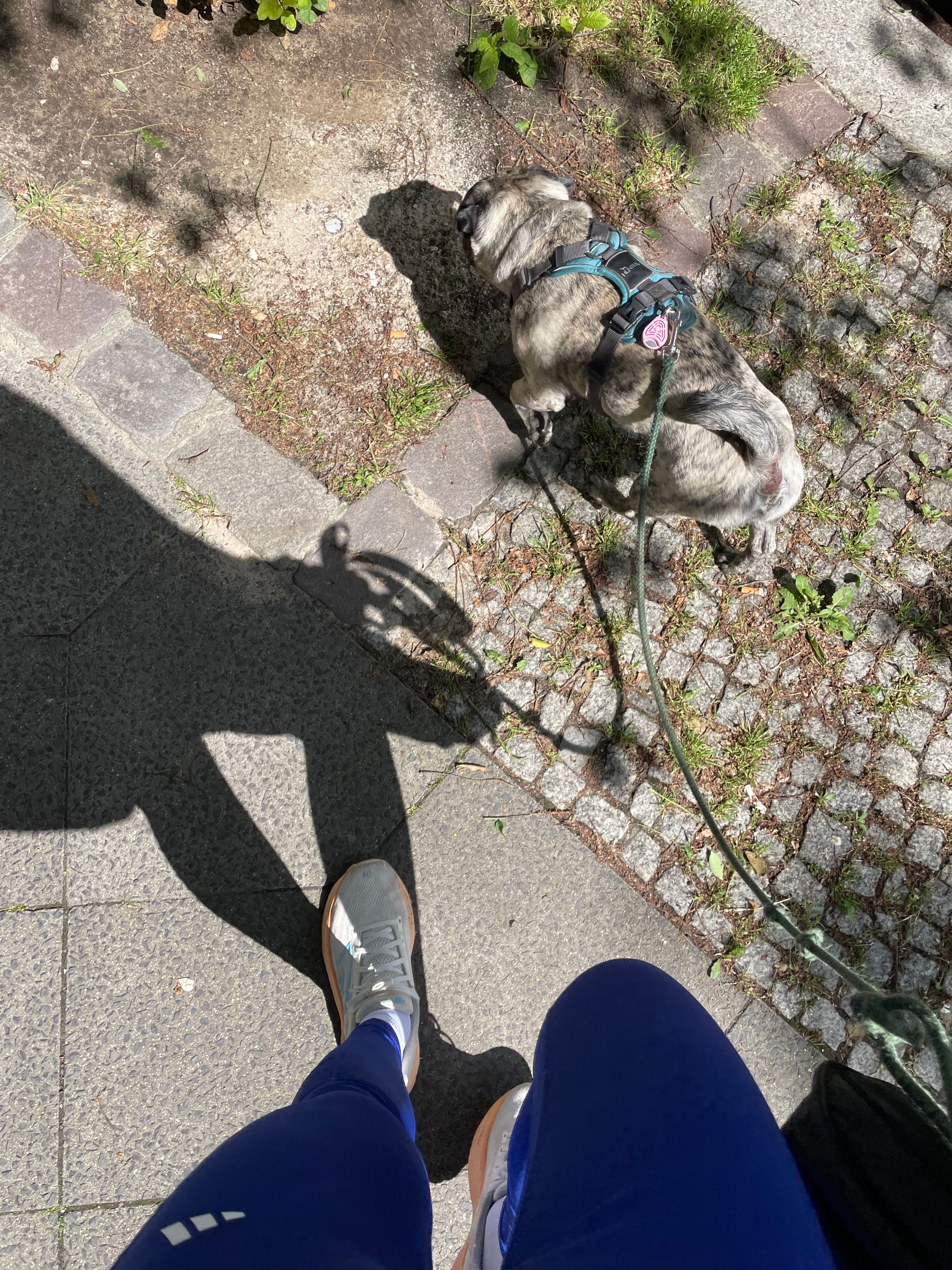 image-18