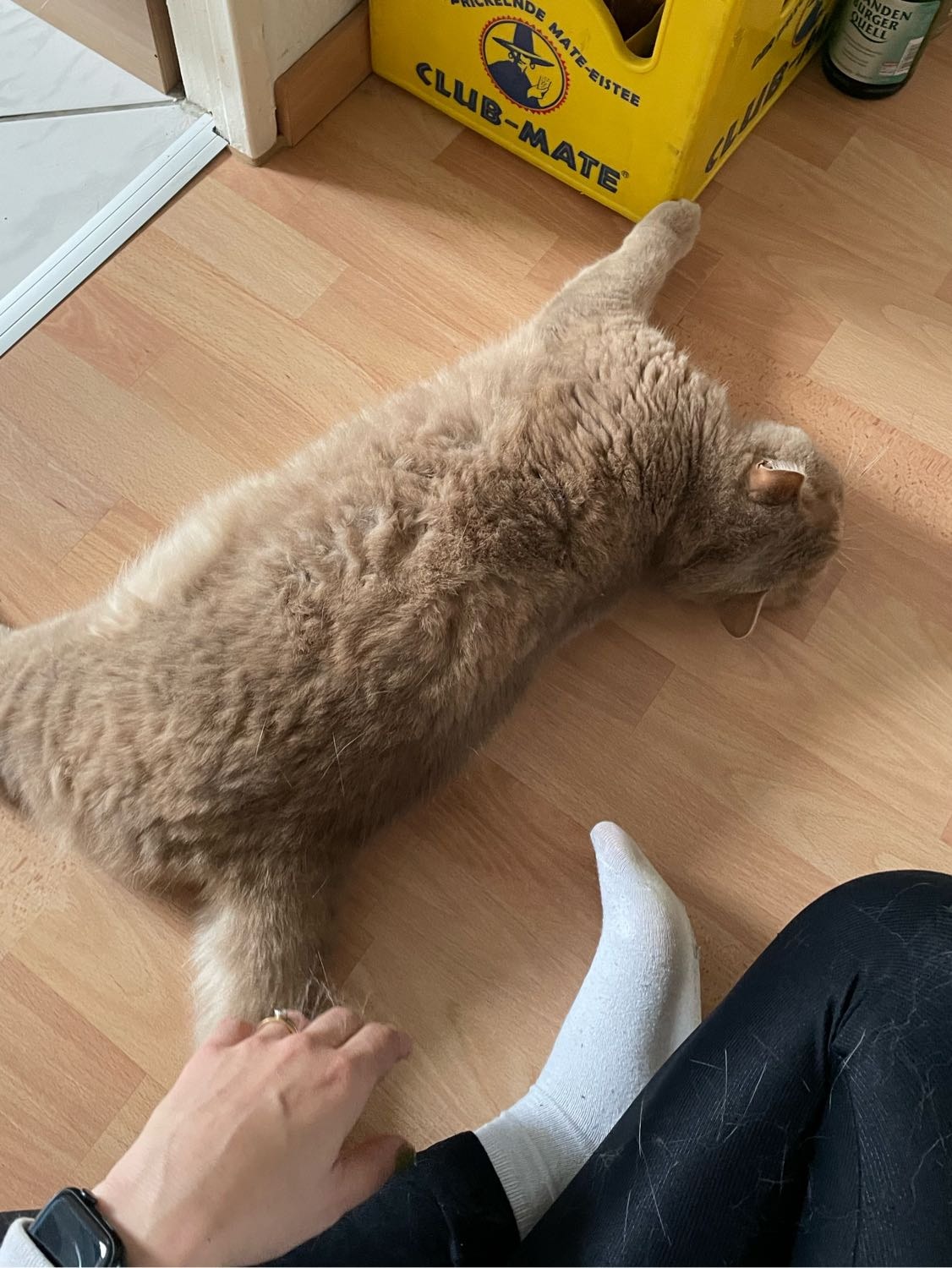 image-10