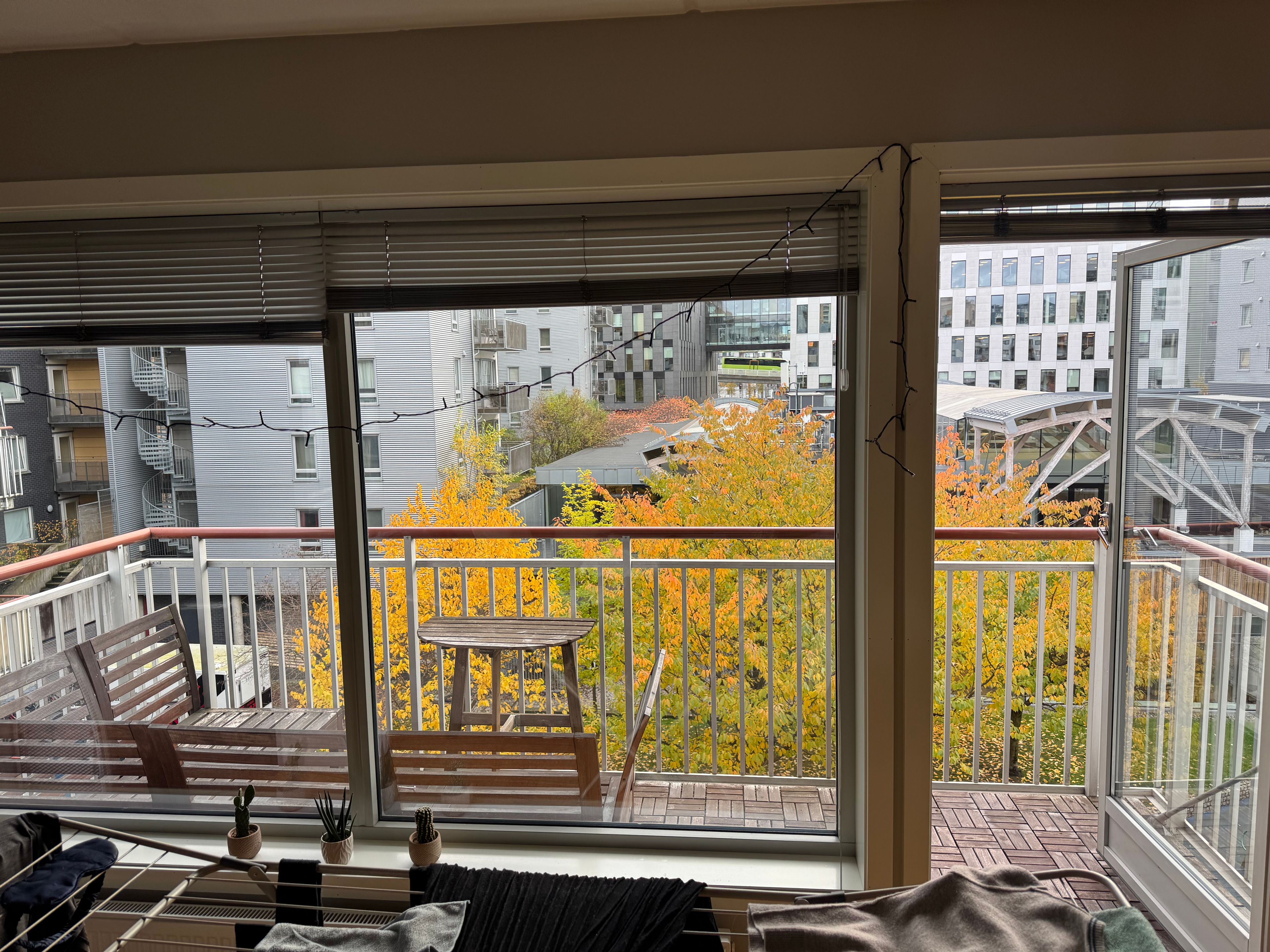 image-17
