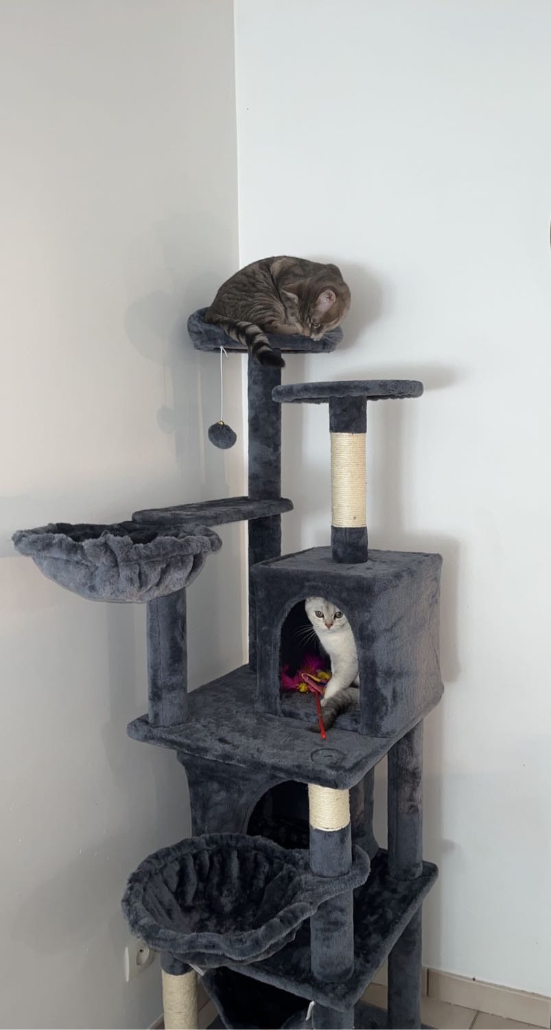 image-5