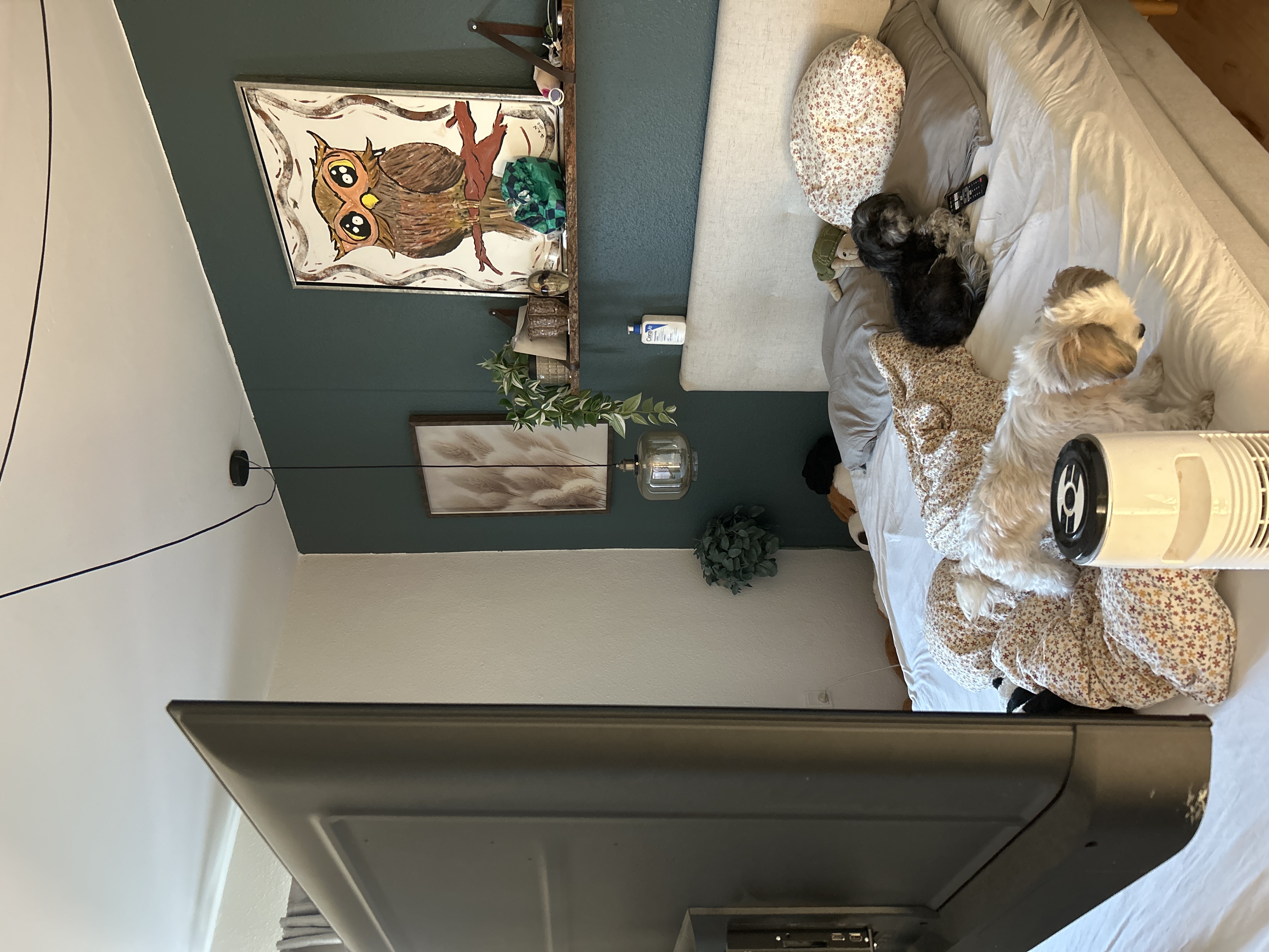 image-16