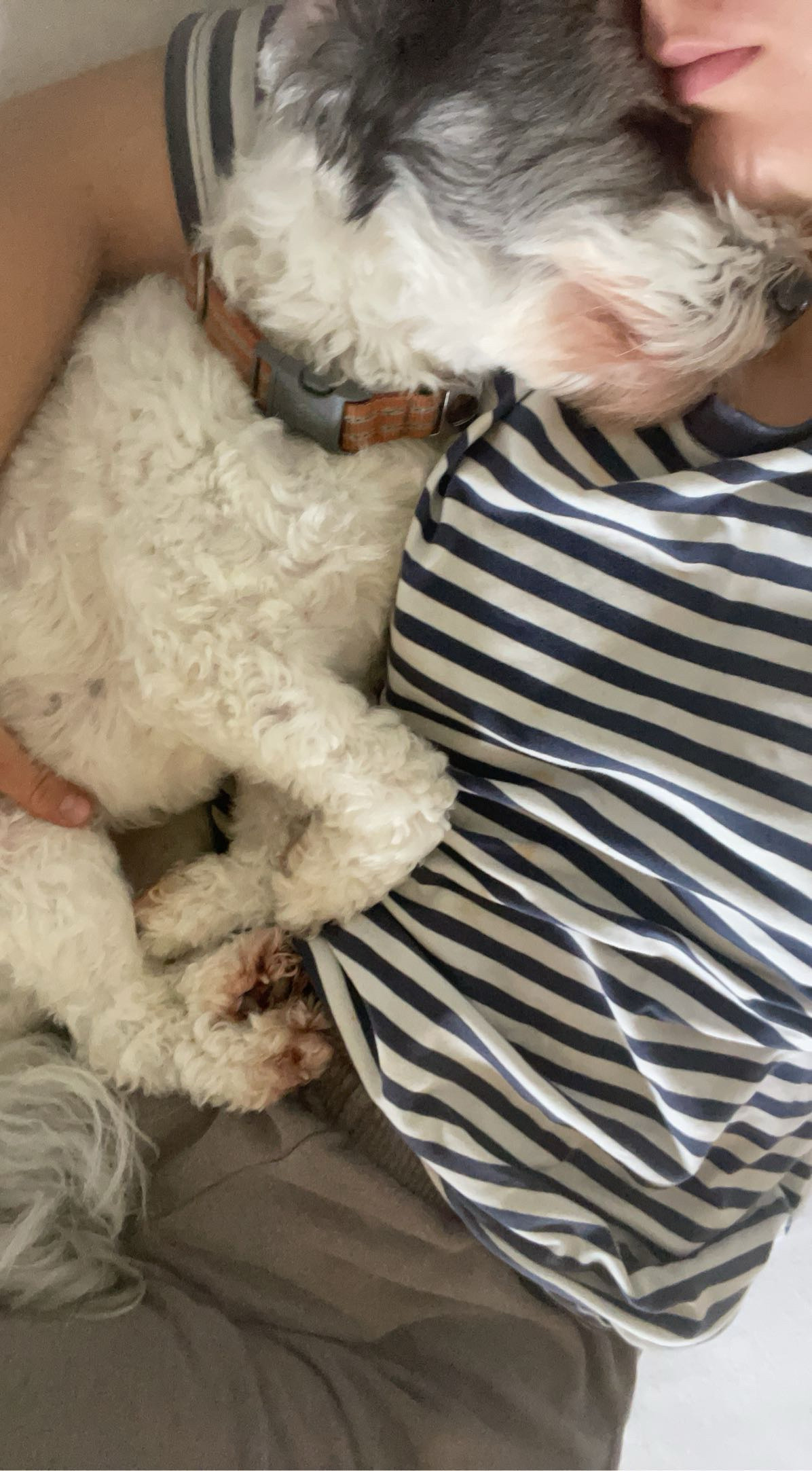 image-6