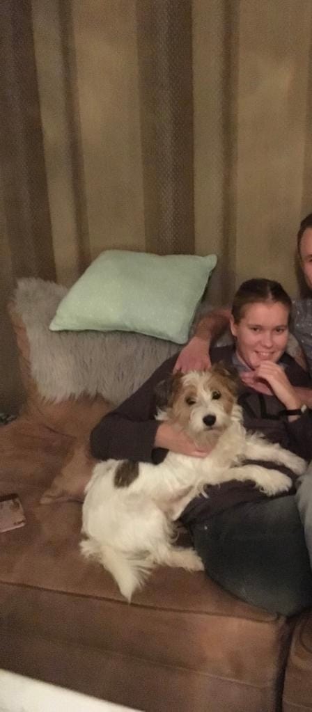 image-1