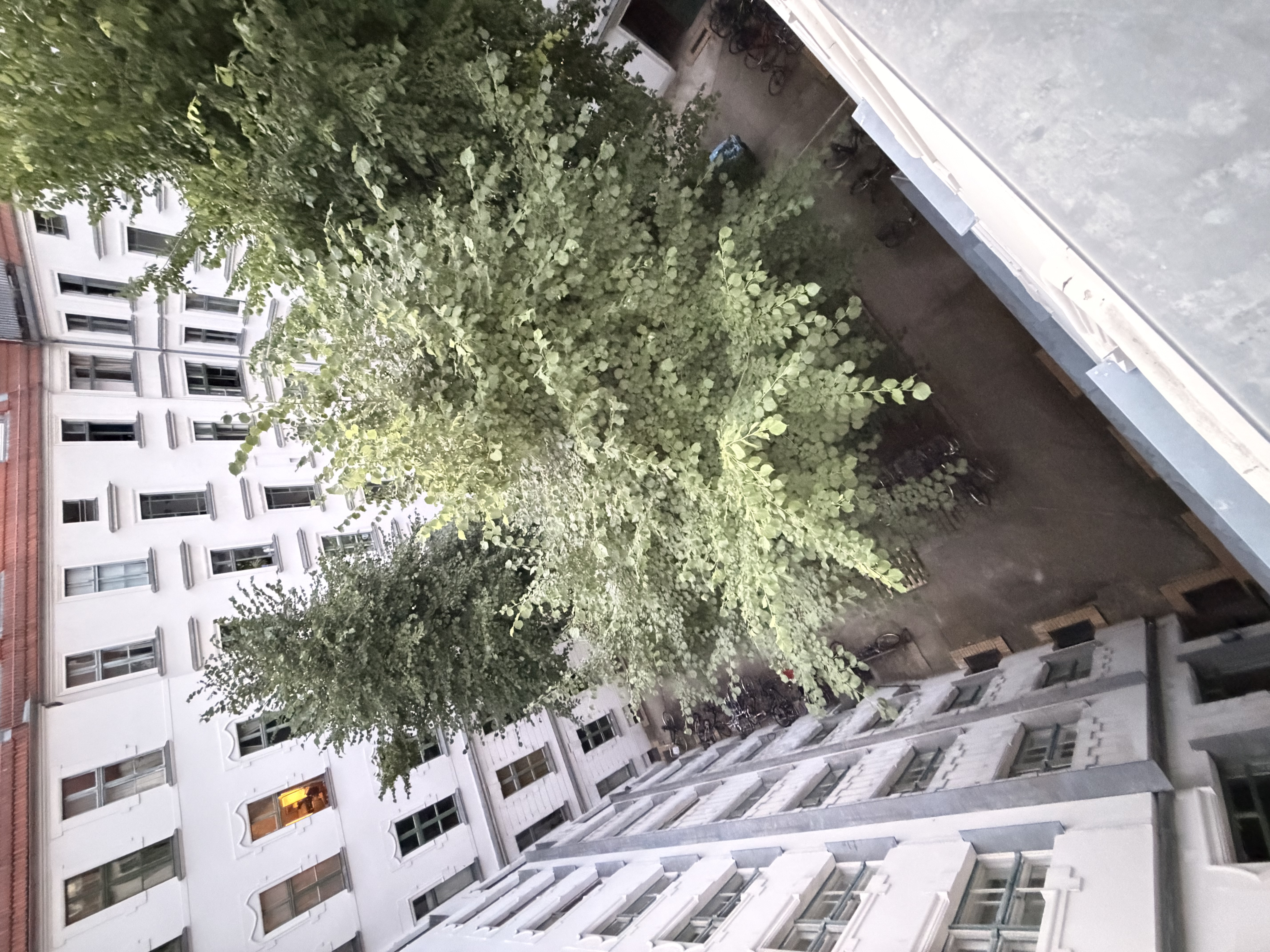 image-16
