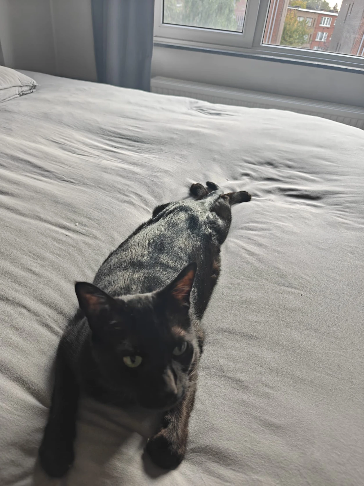 image-6