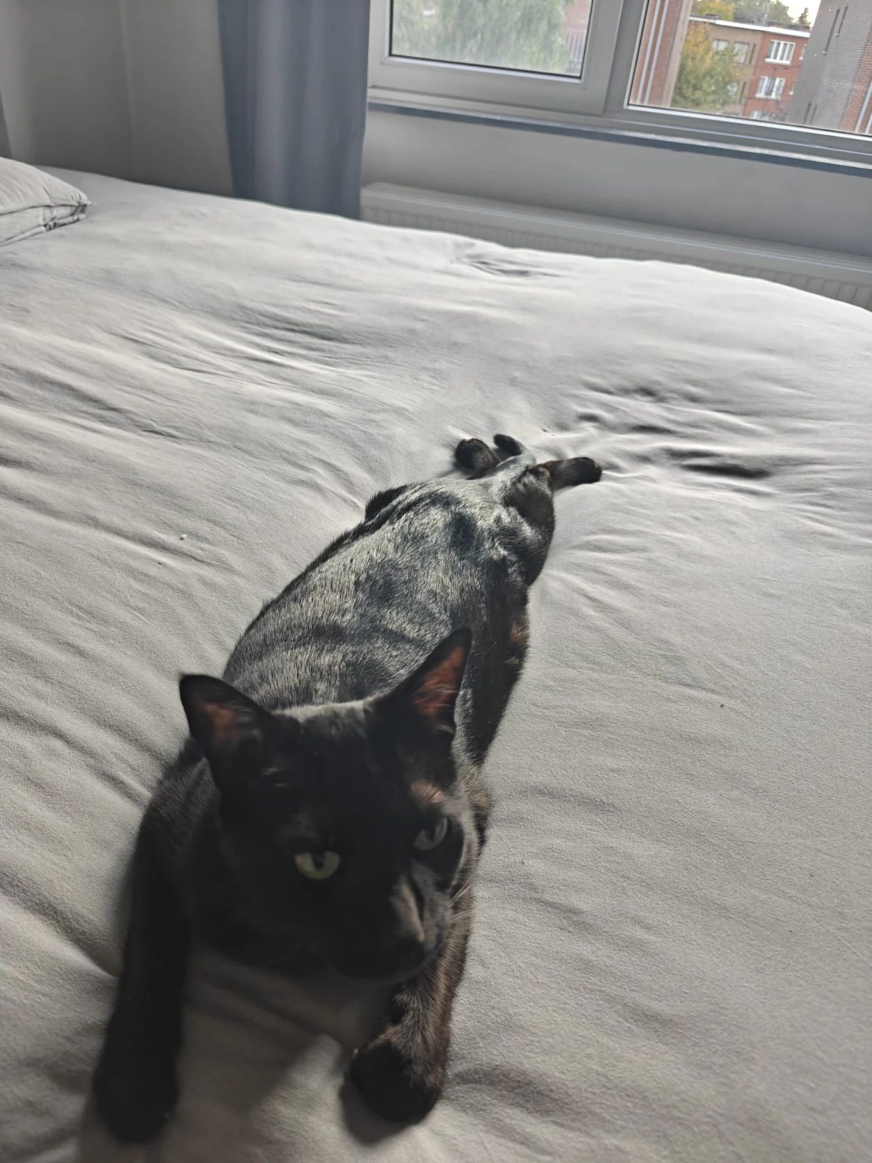 image-6