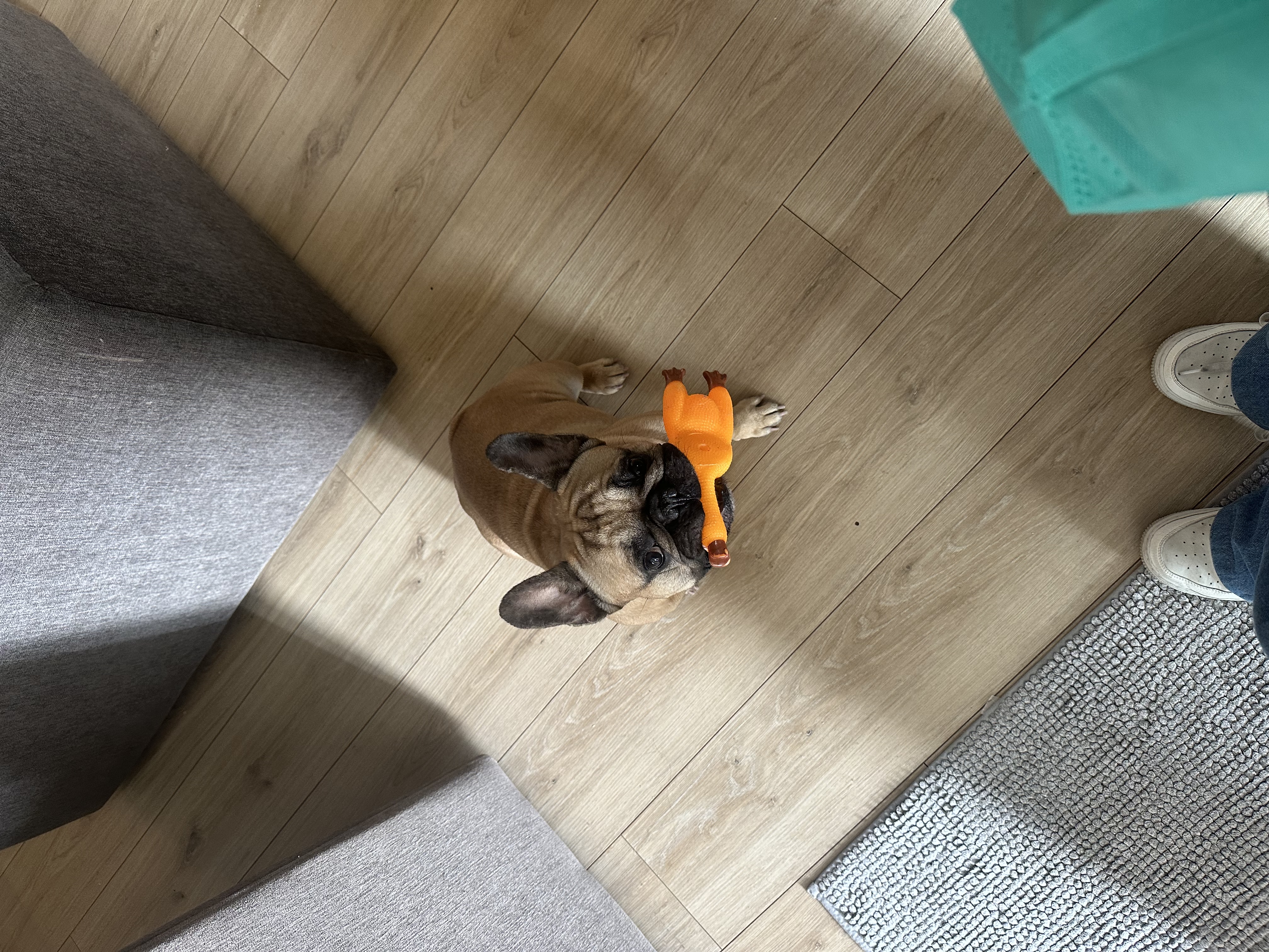 image-3