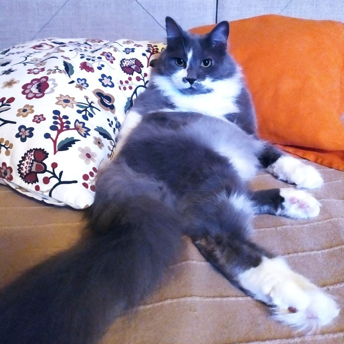 Margot