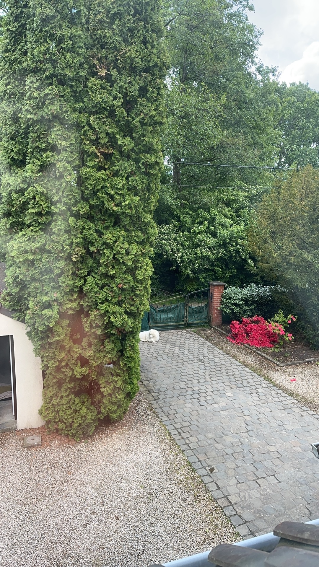 image-10
