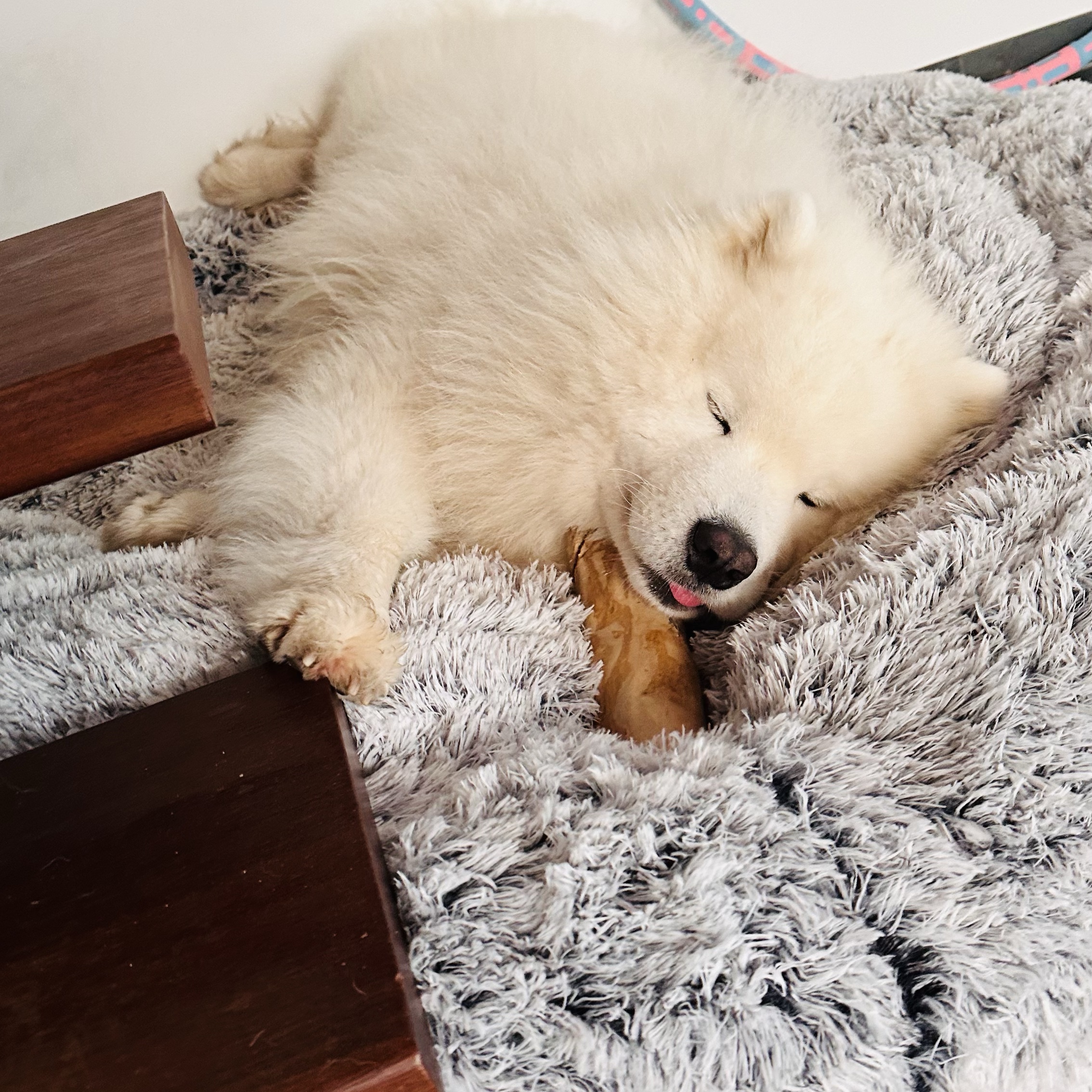 Croissant