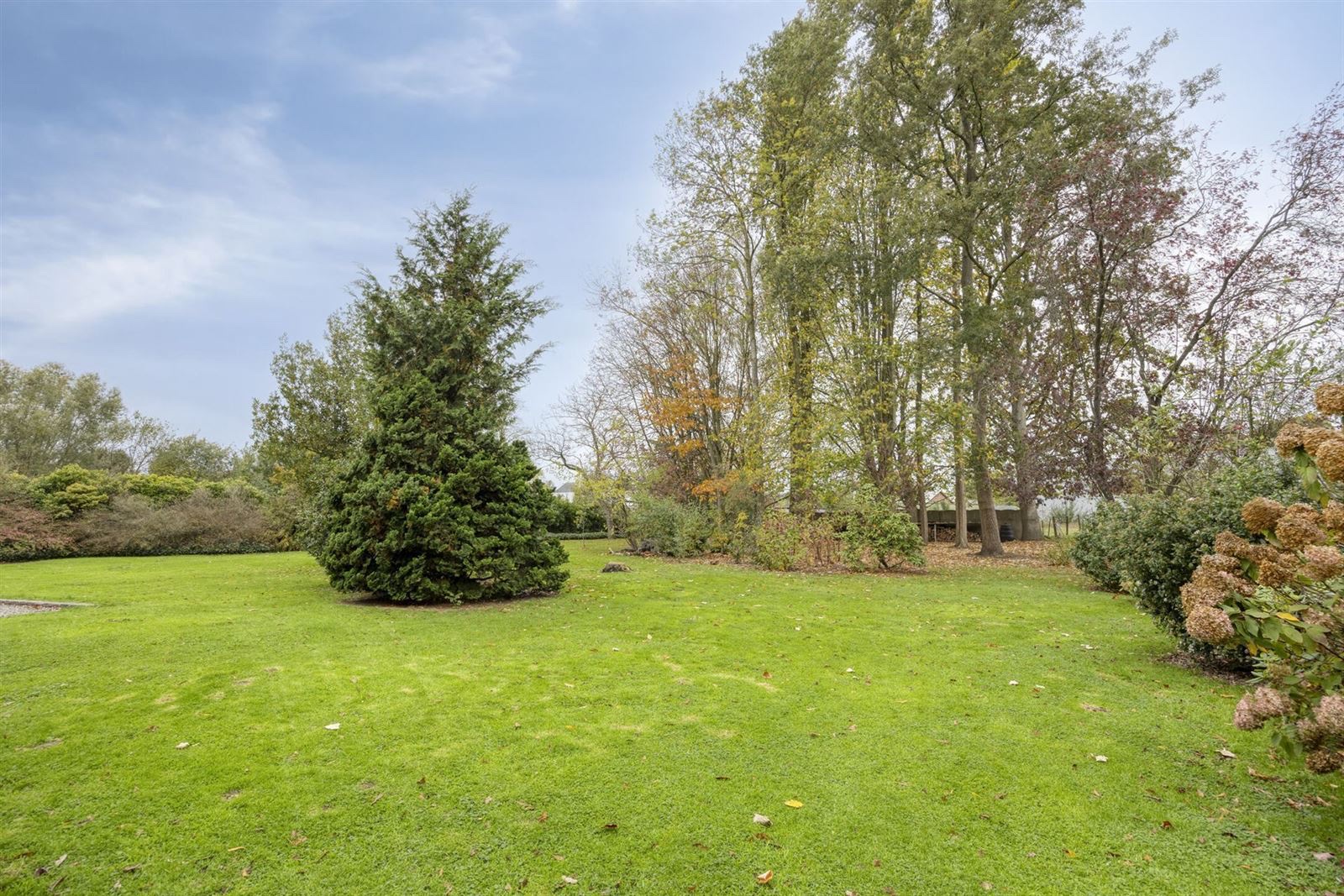 image-15