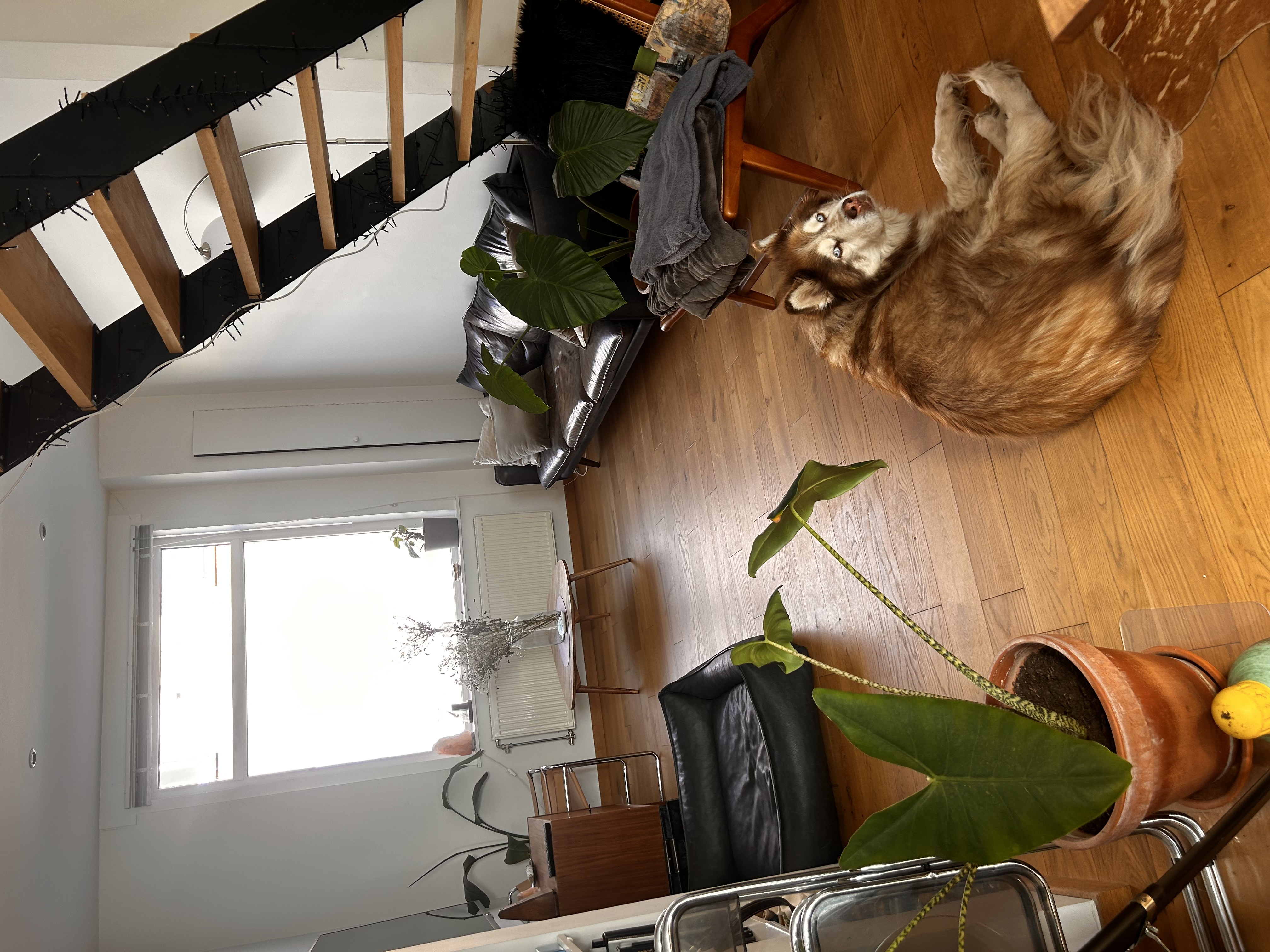 image-15