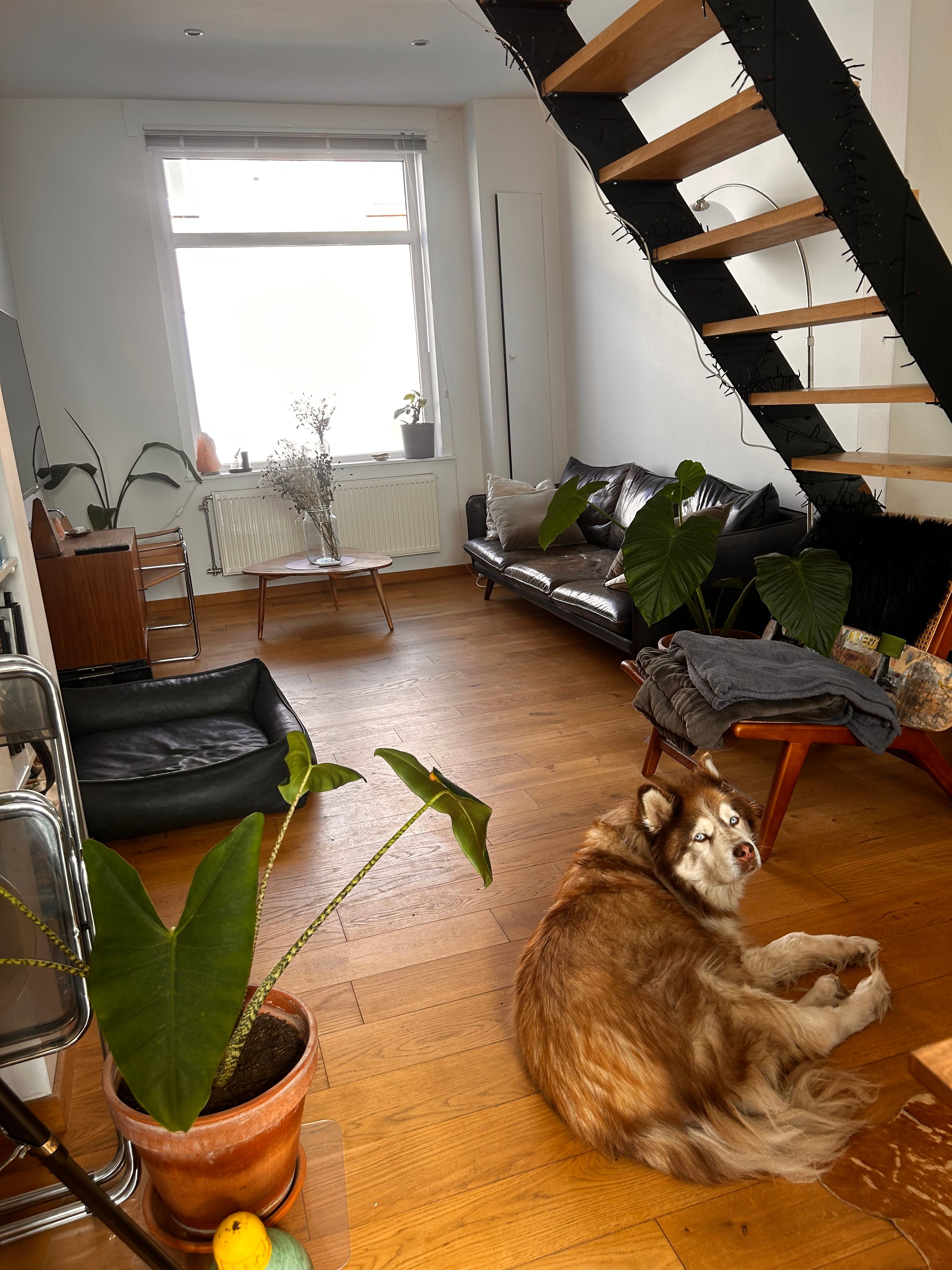 image-15