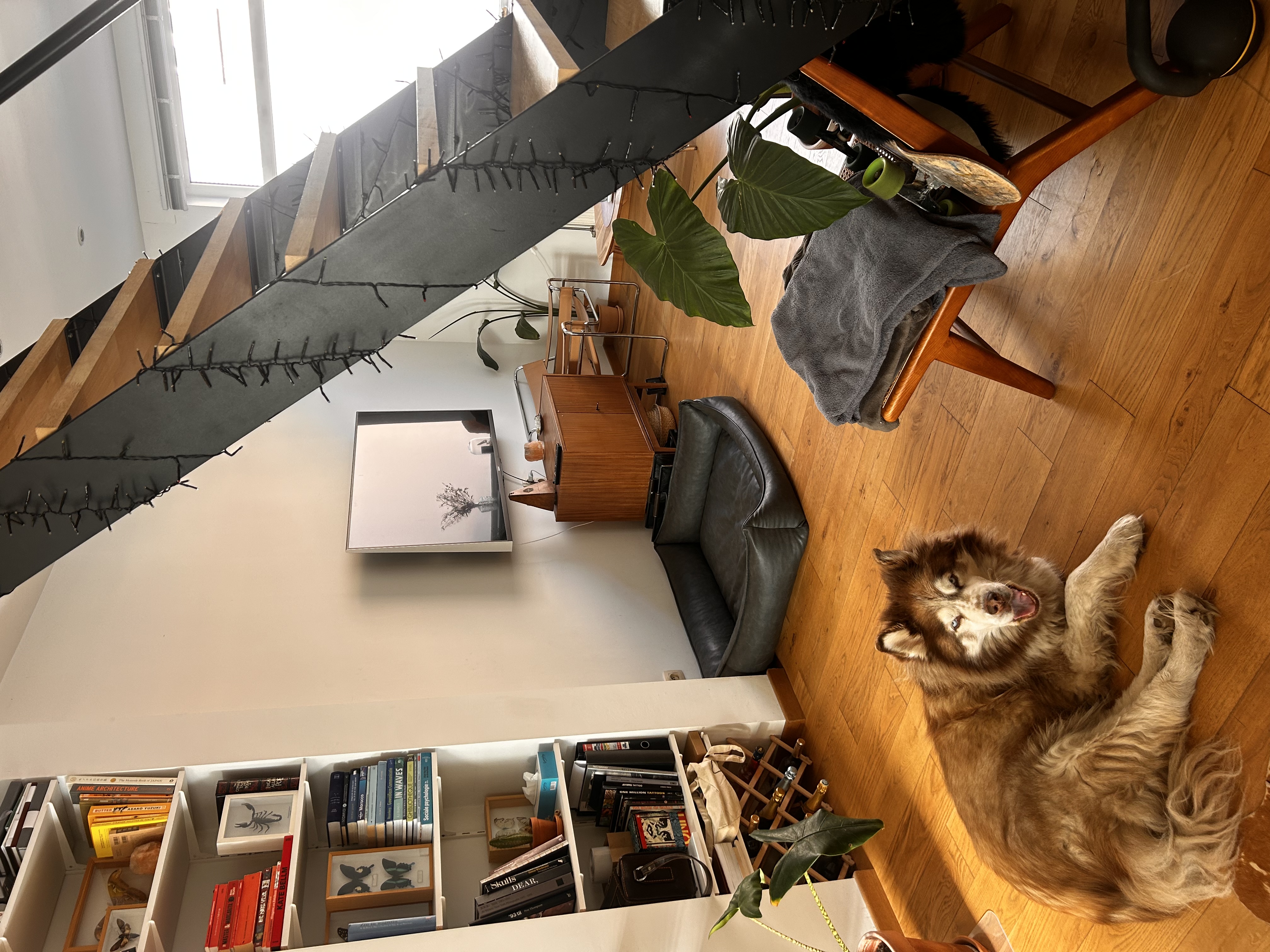 image-16