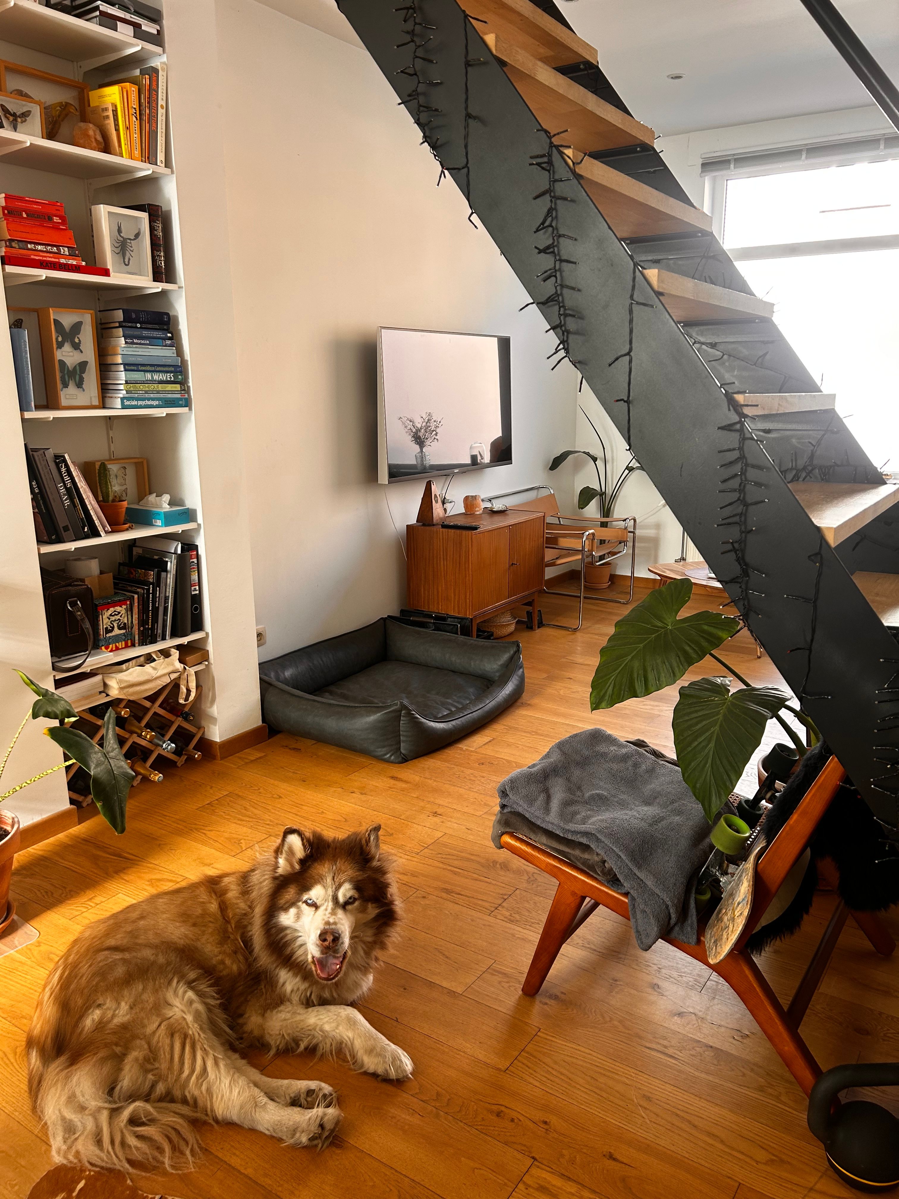 image-16
