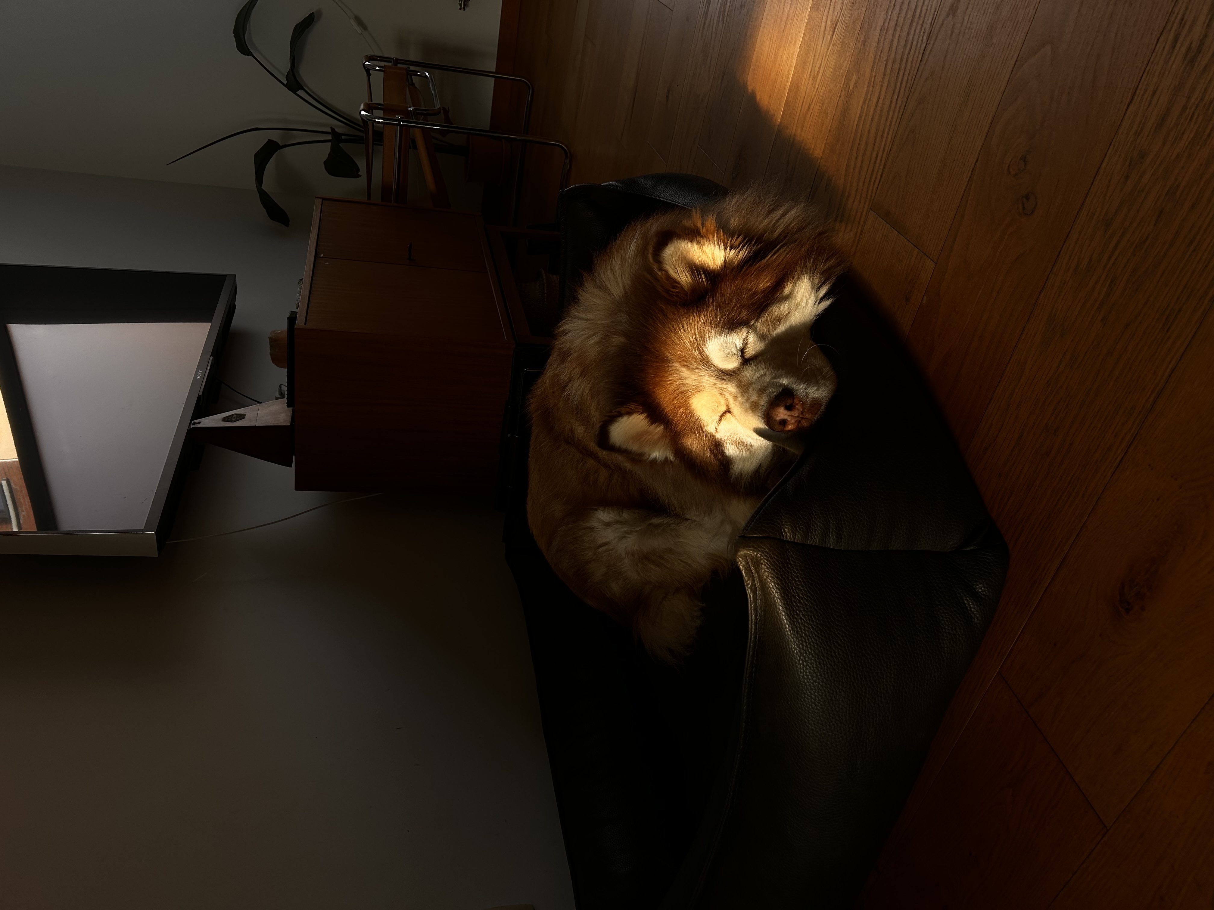 image-8