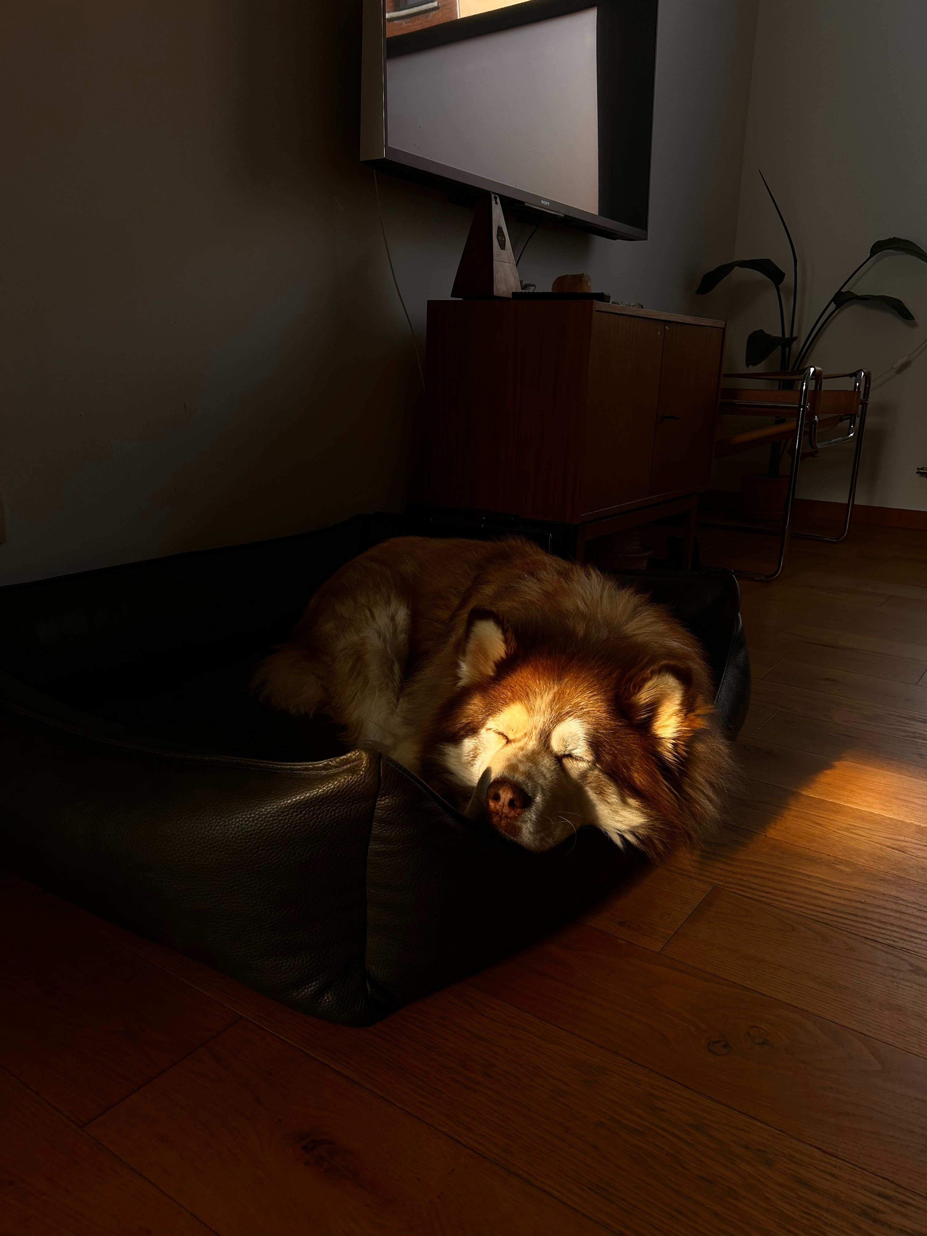 image-8