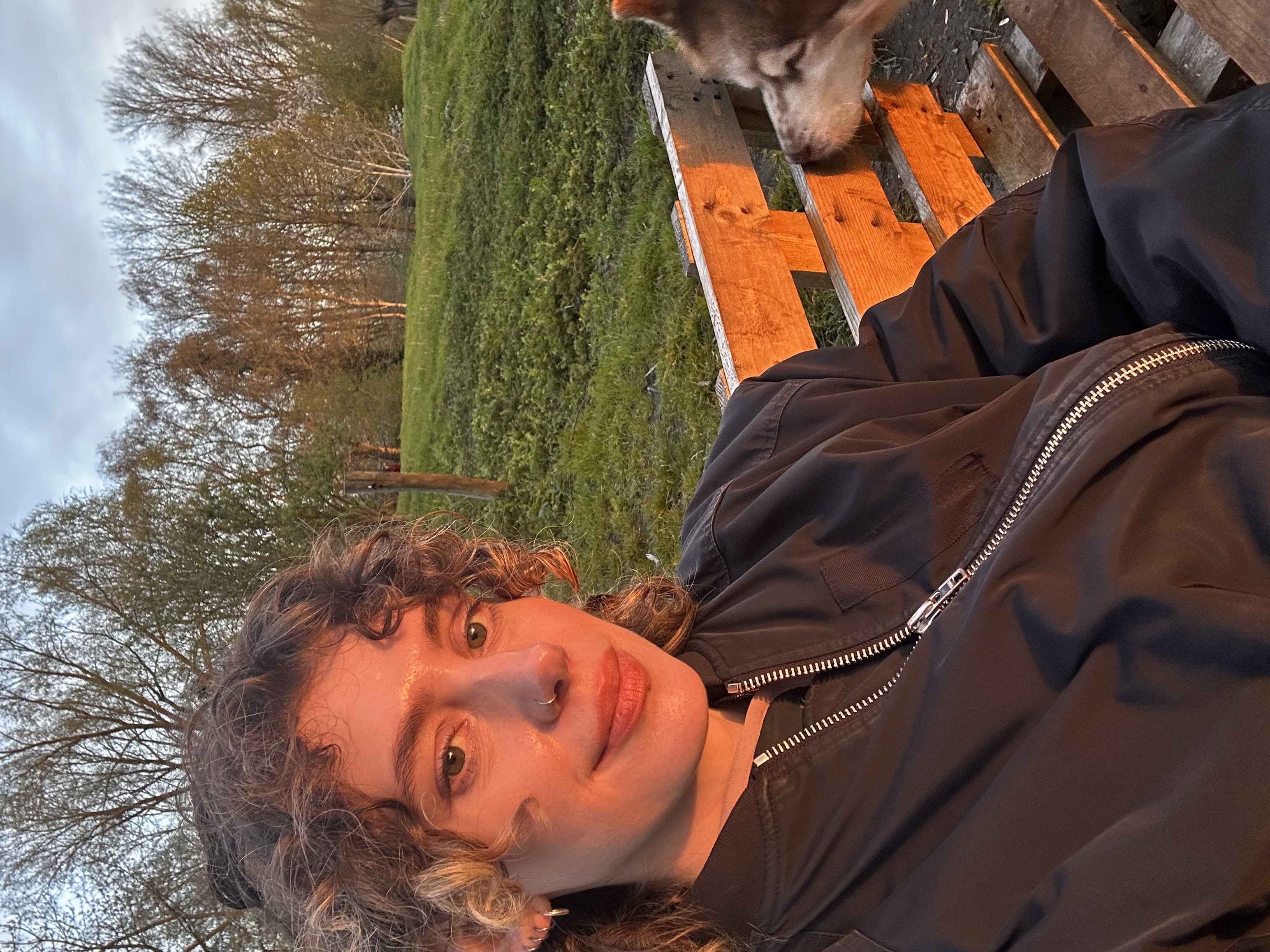 image-4