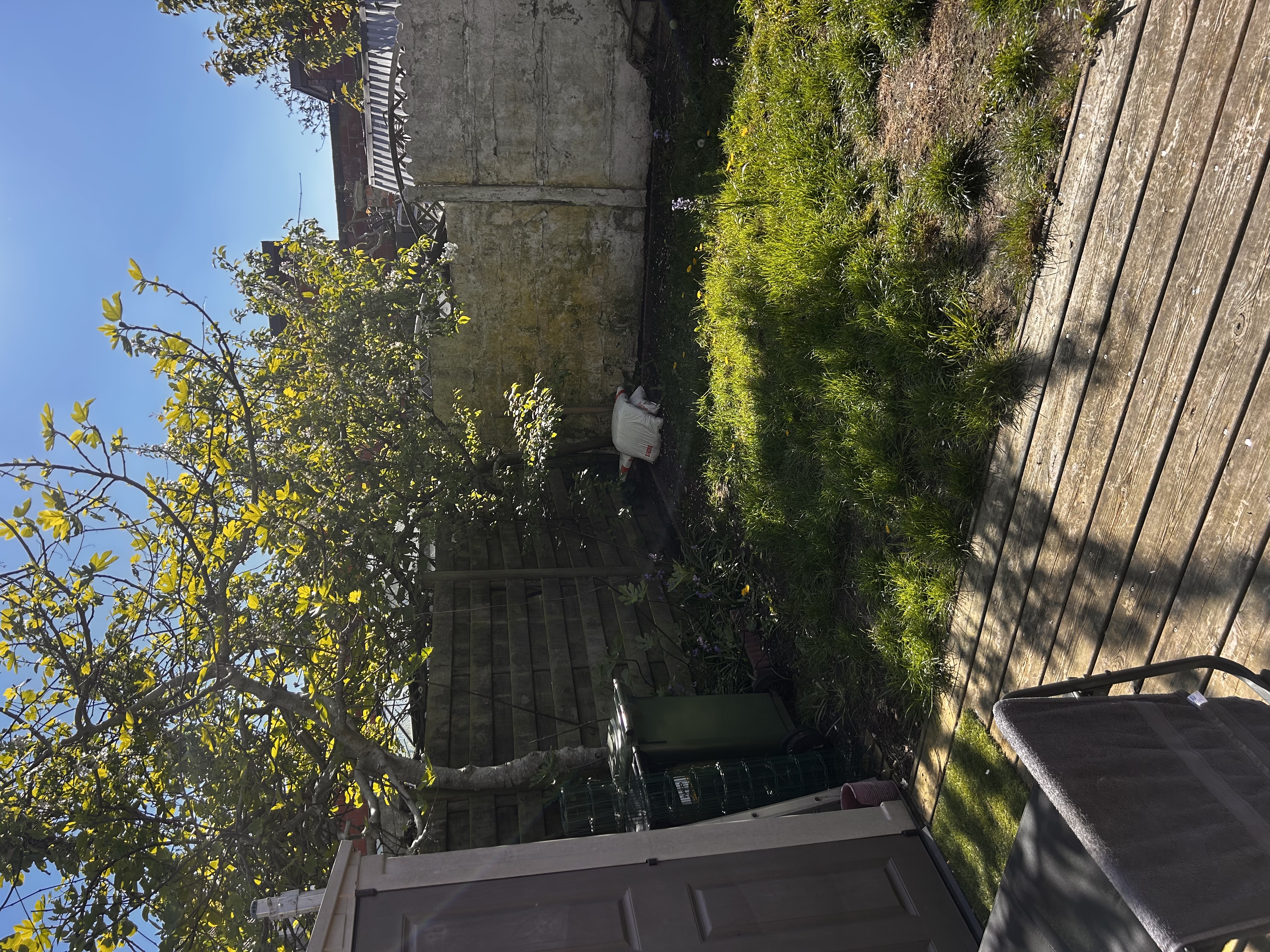 image-14