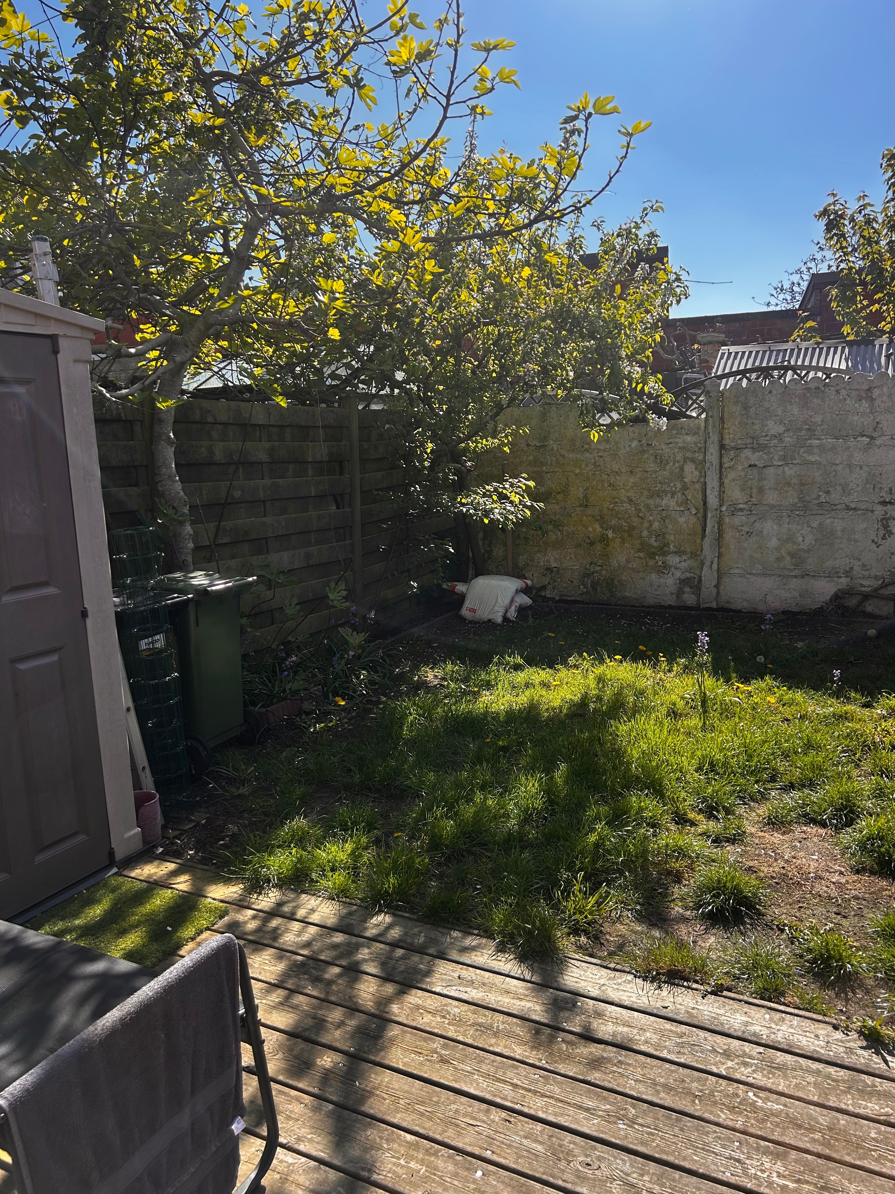 image-14