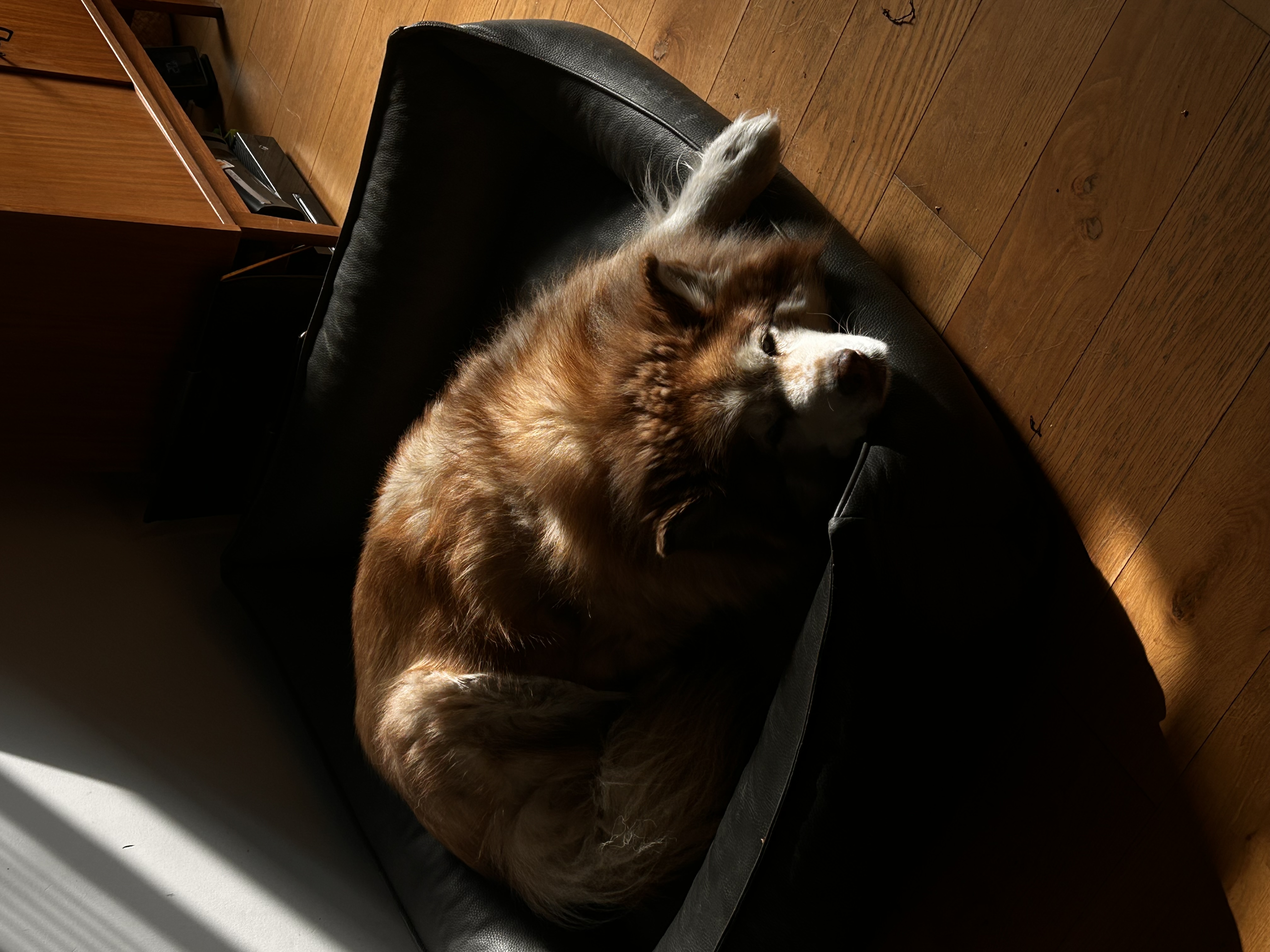 image-11