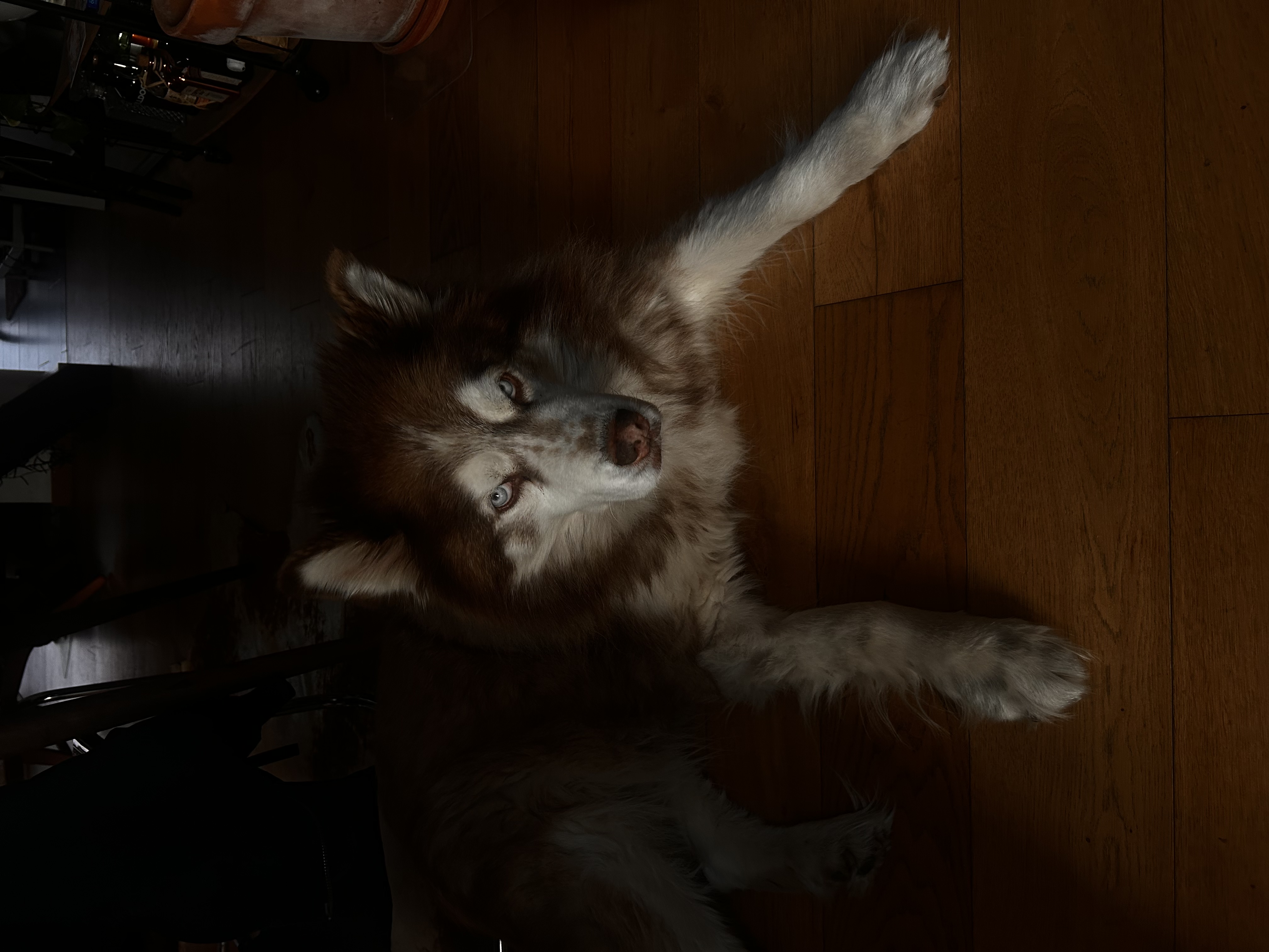 image-9