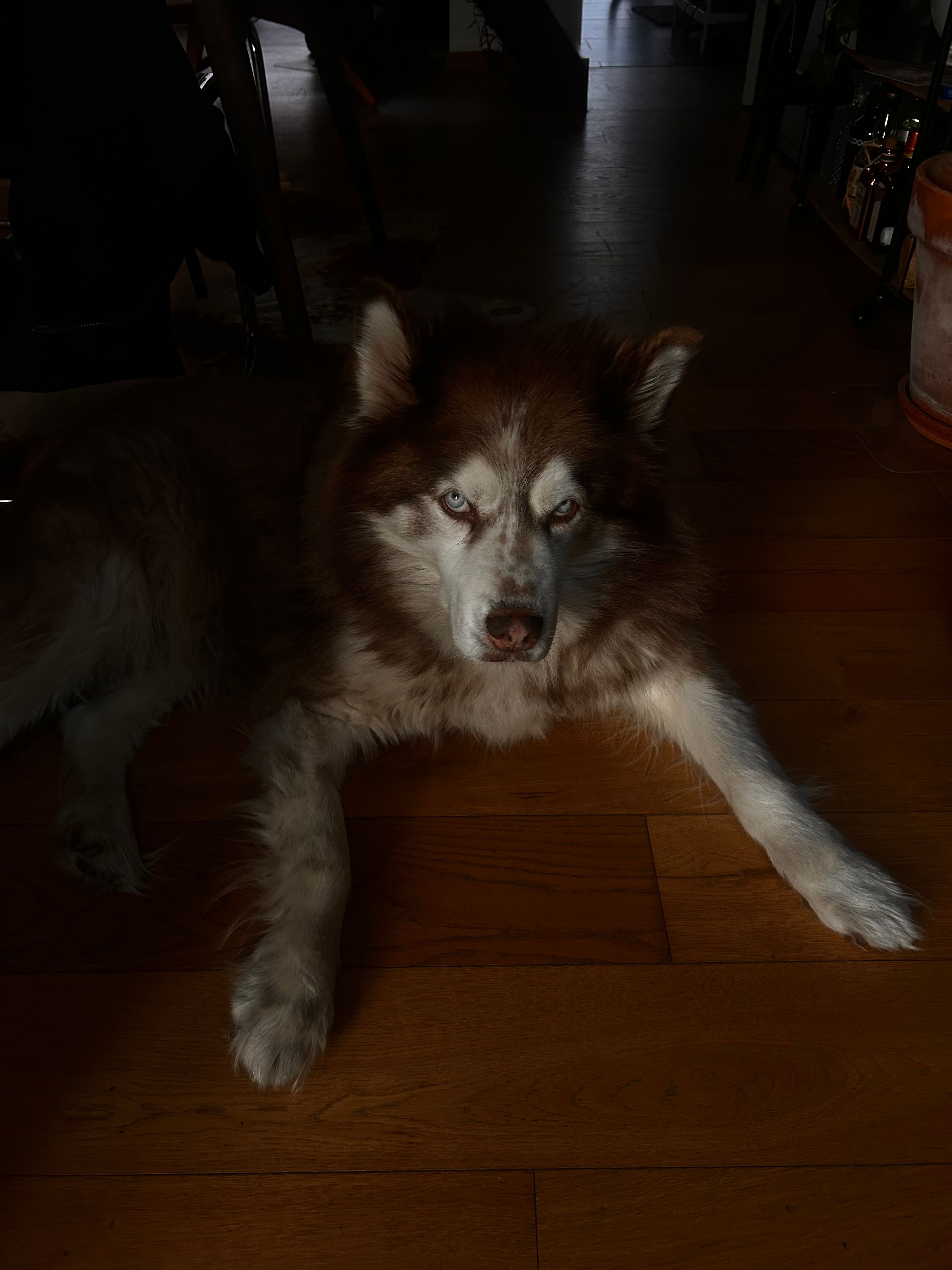 image-9