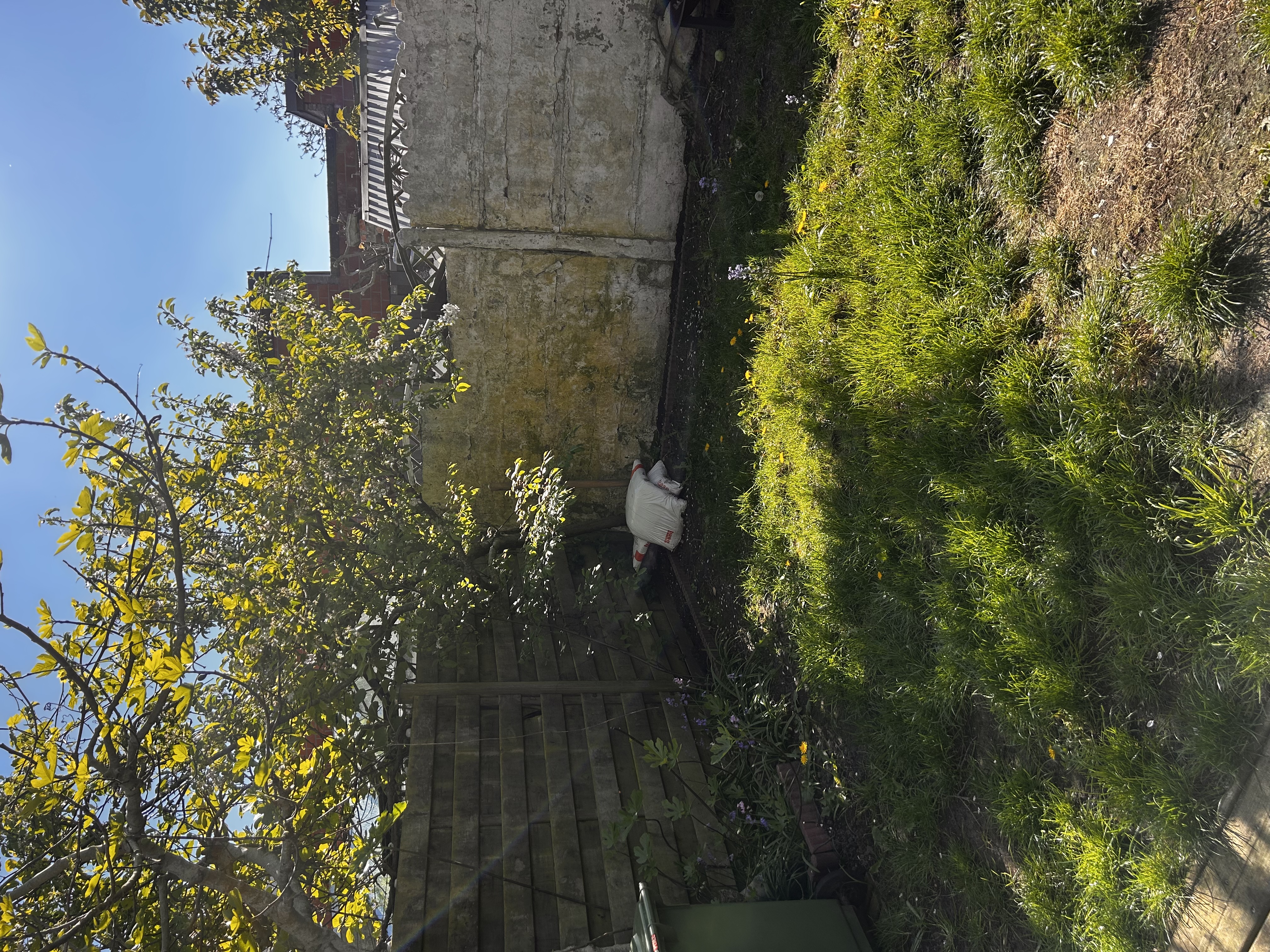 image-17