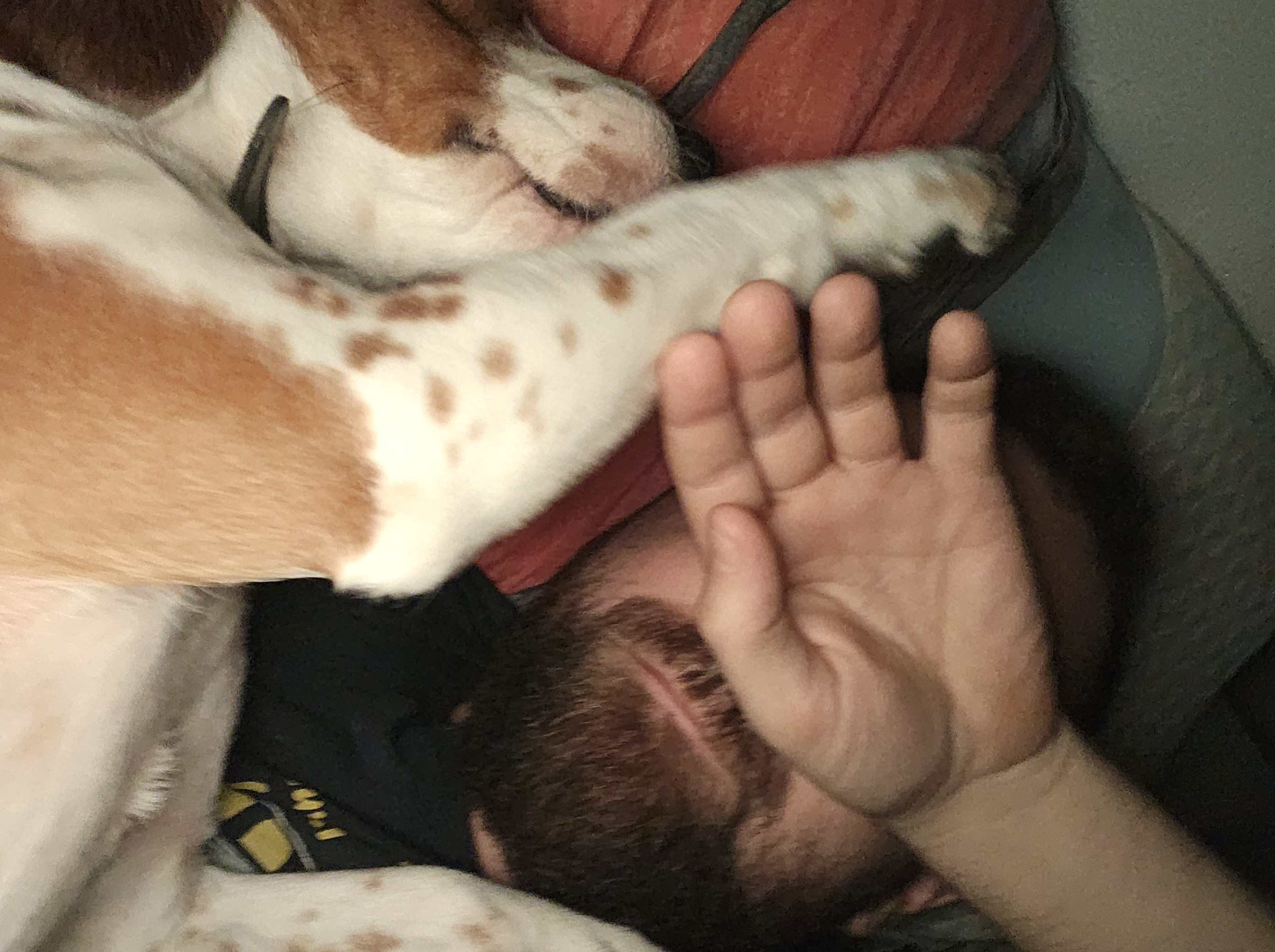 image-8