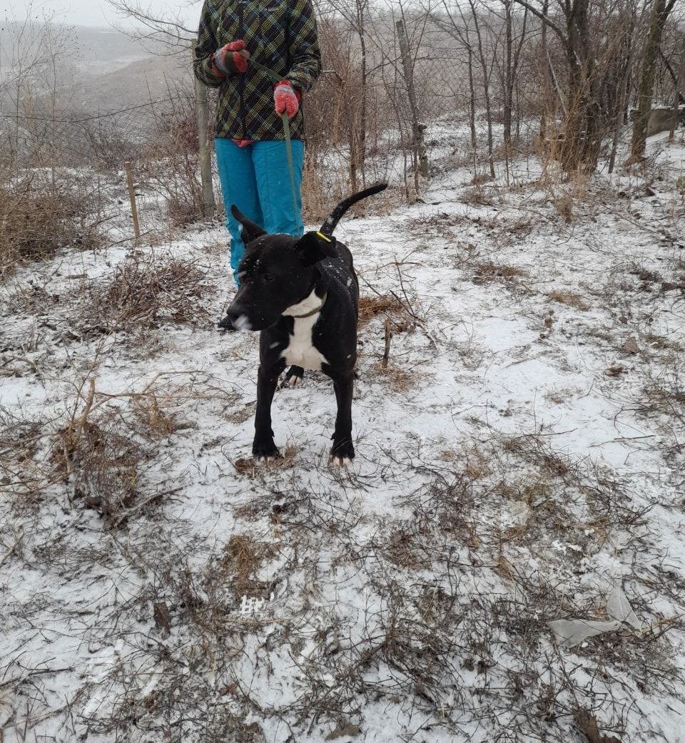 image-5