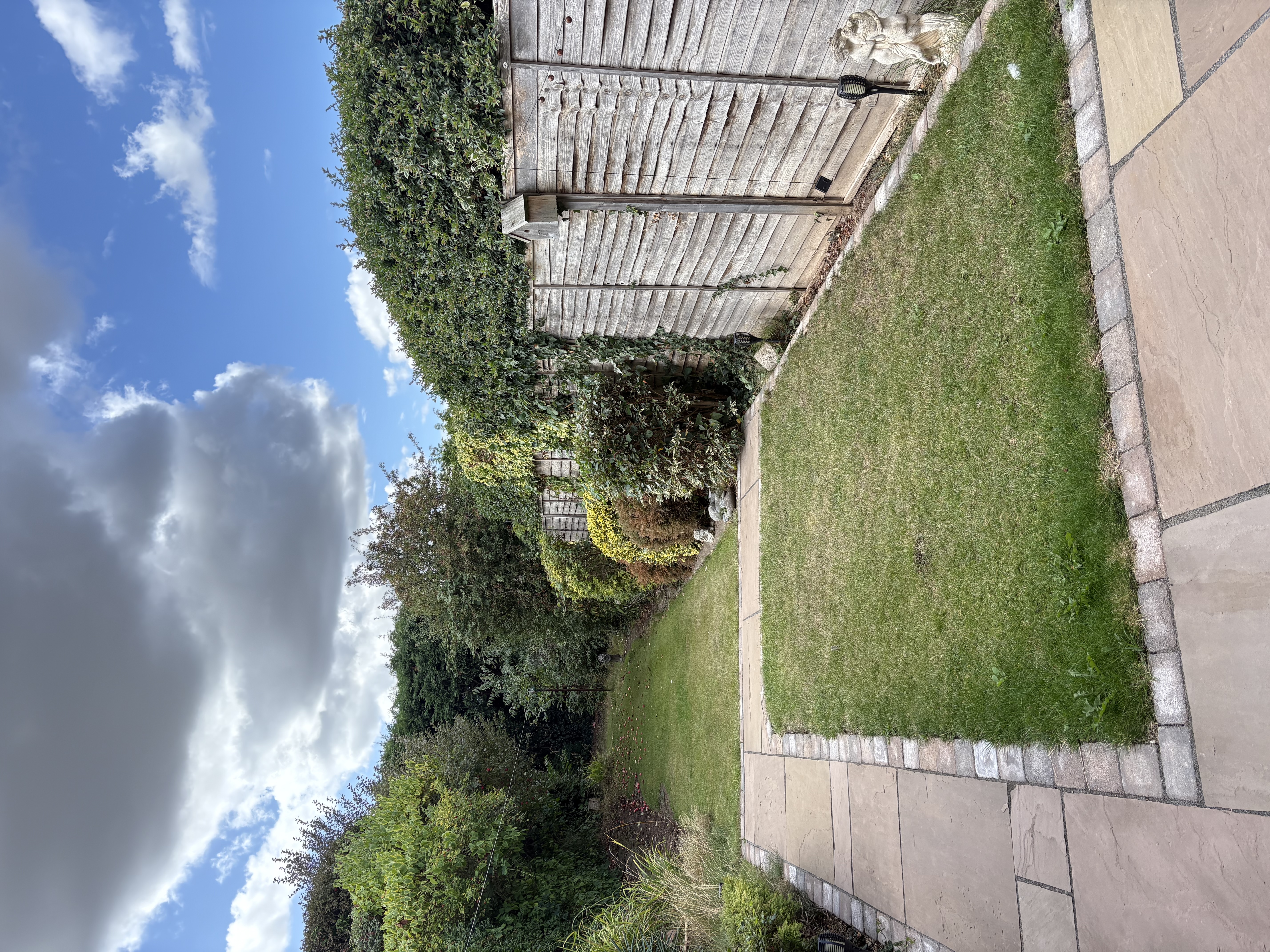 image-18