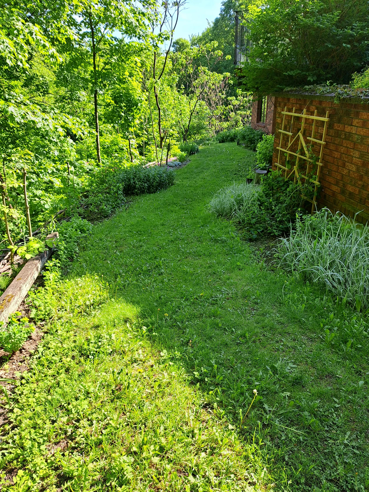 image-15