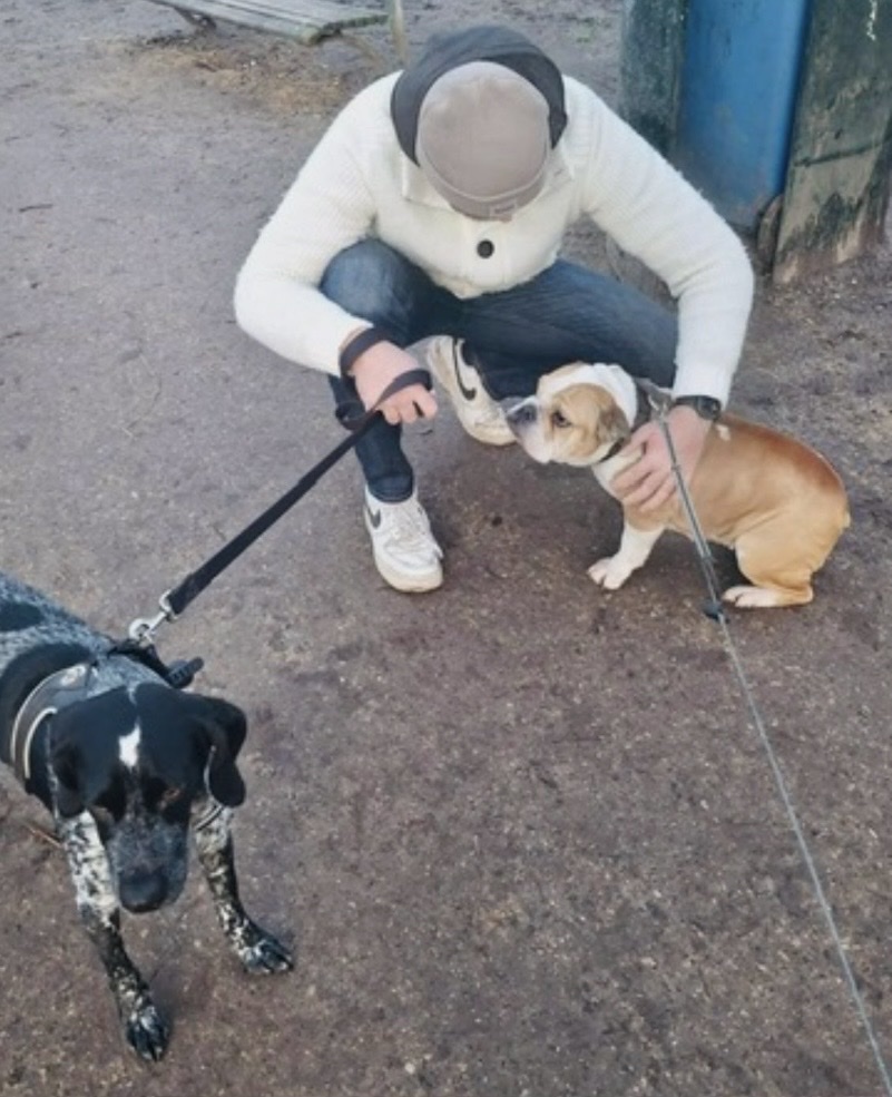image-6